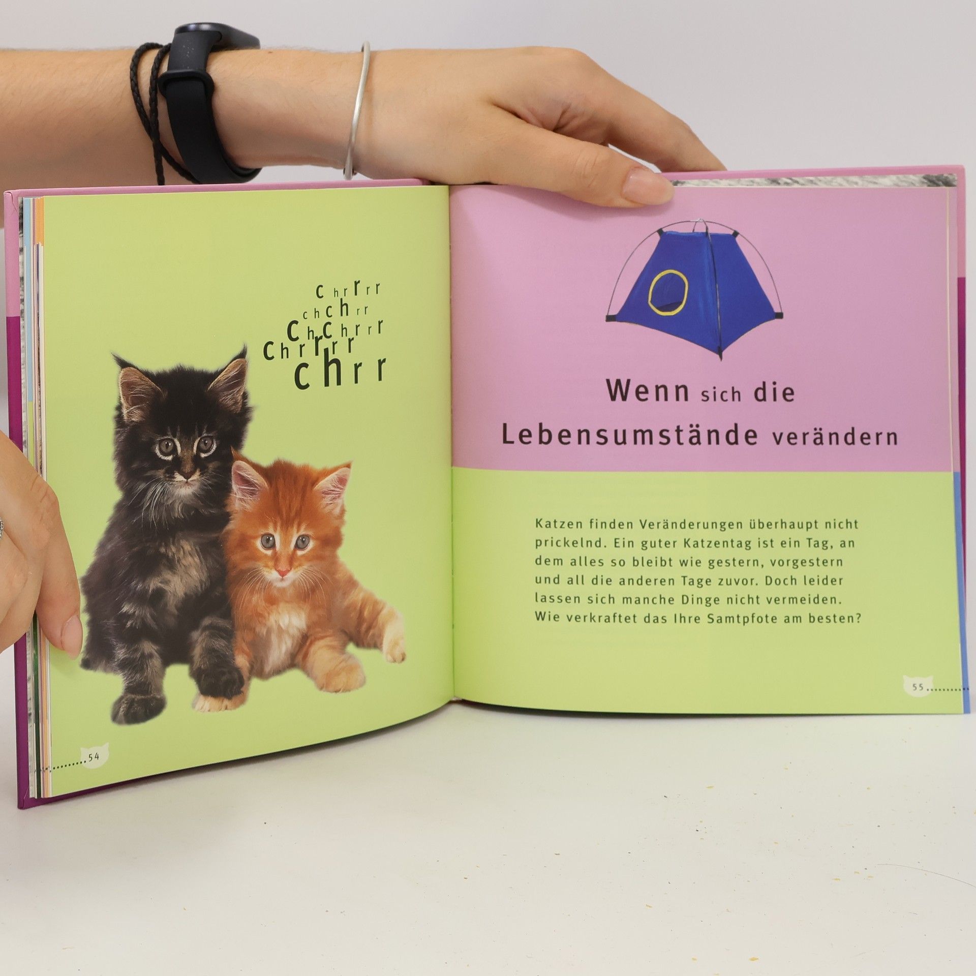 Astrid Schubert Meine eigenwillige Katze