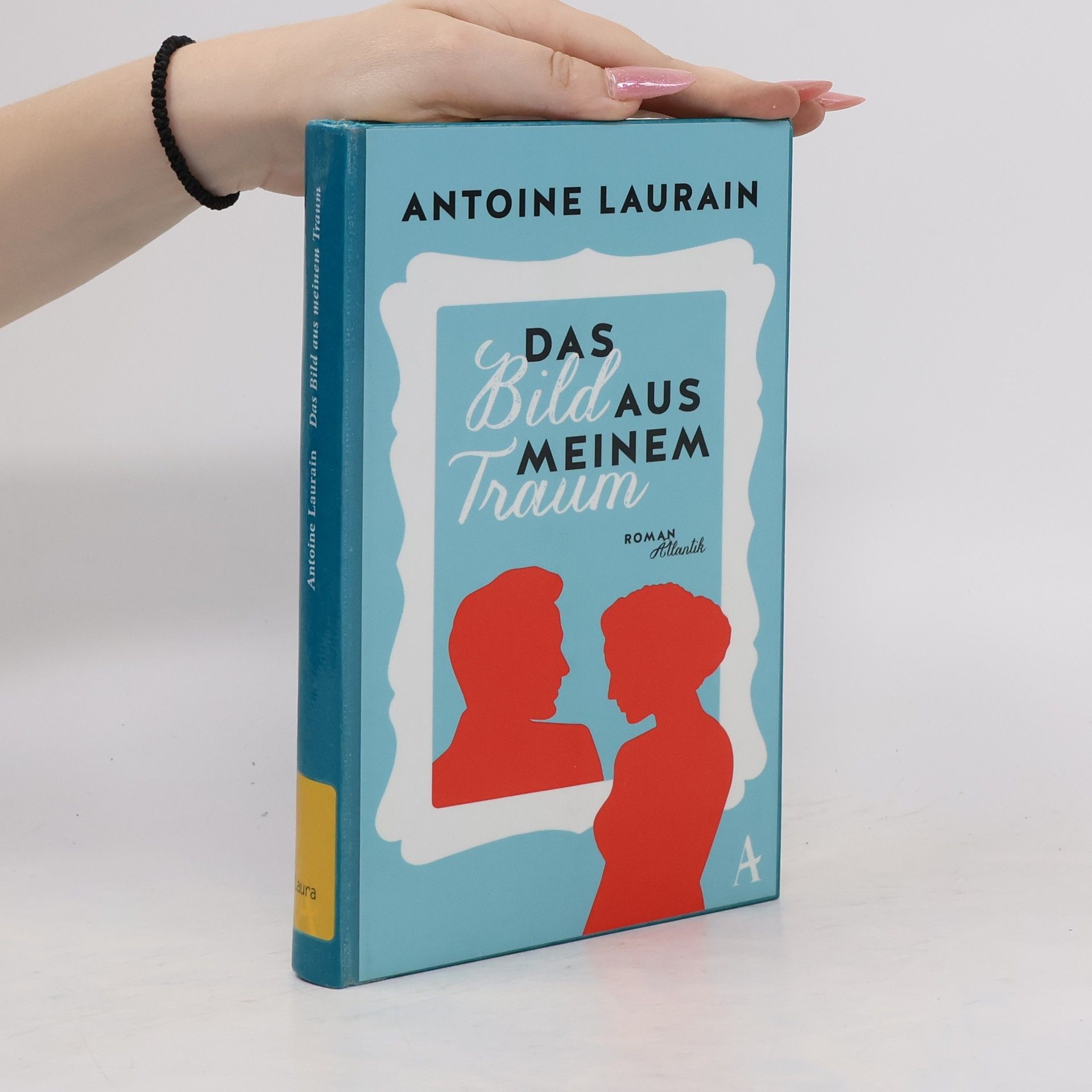 Antoine Laurain Das Bild aus meinem Traum