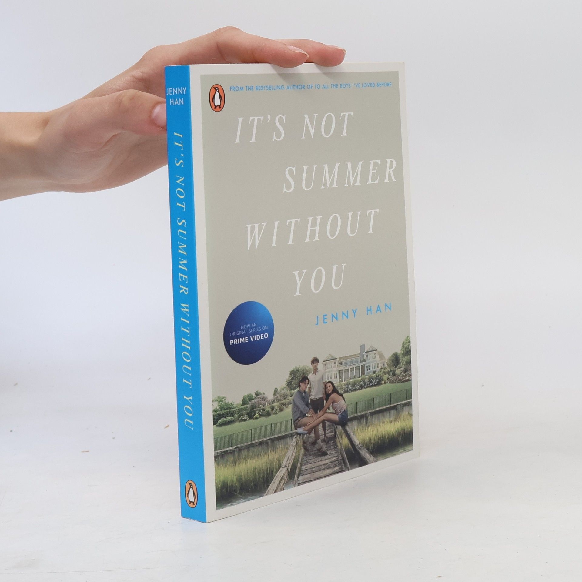 Jenny Han It's Not Summer Without You