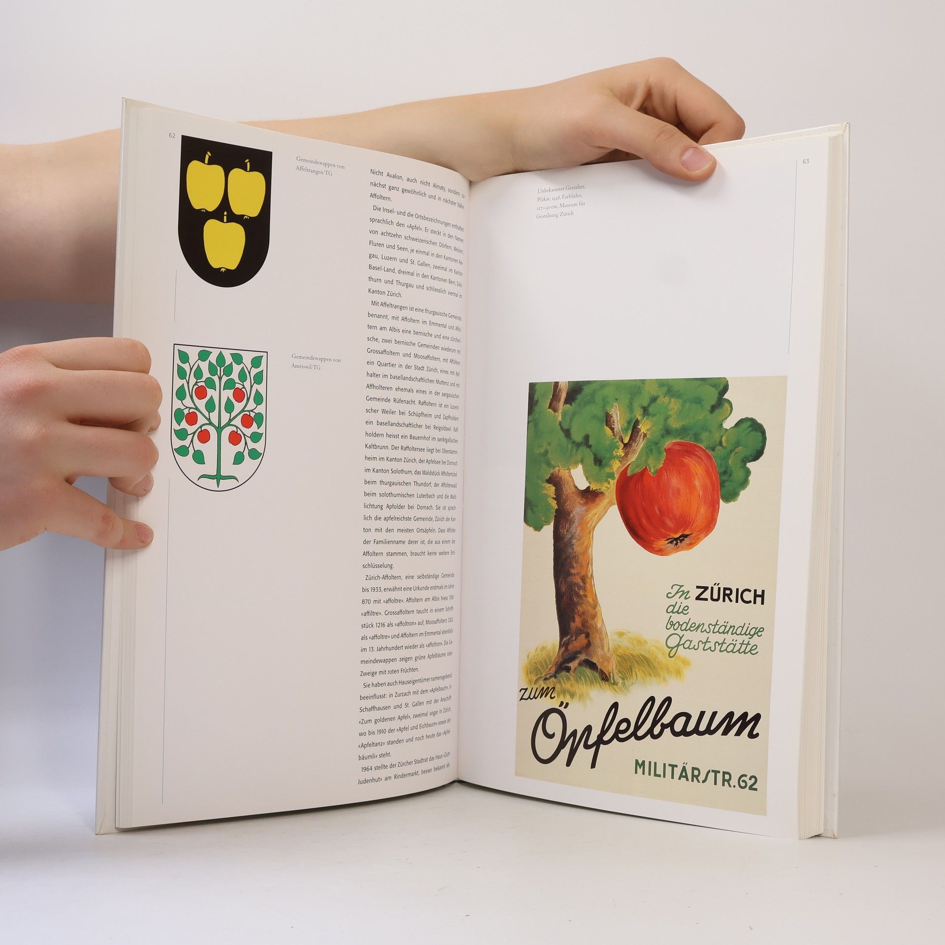 Verena Füllemann Faites vos pommes!