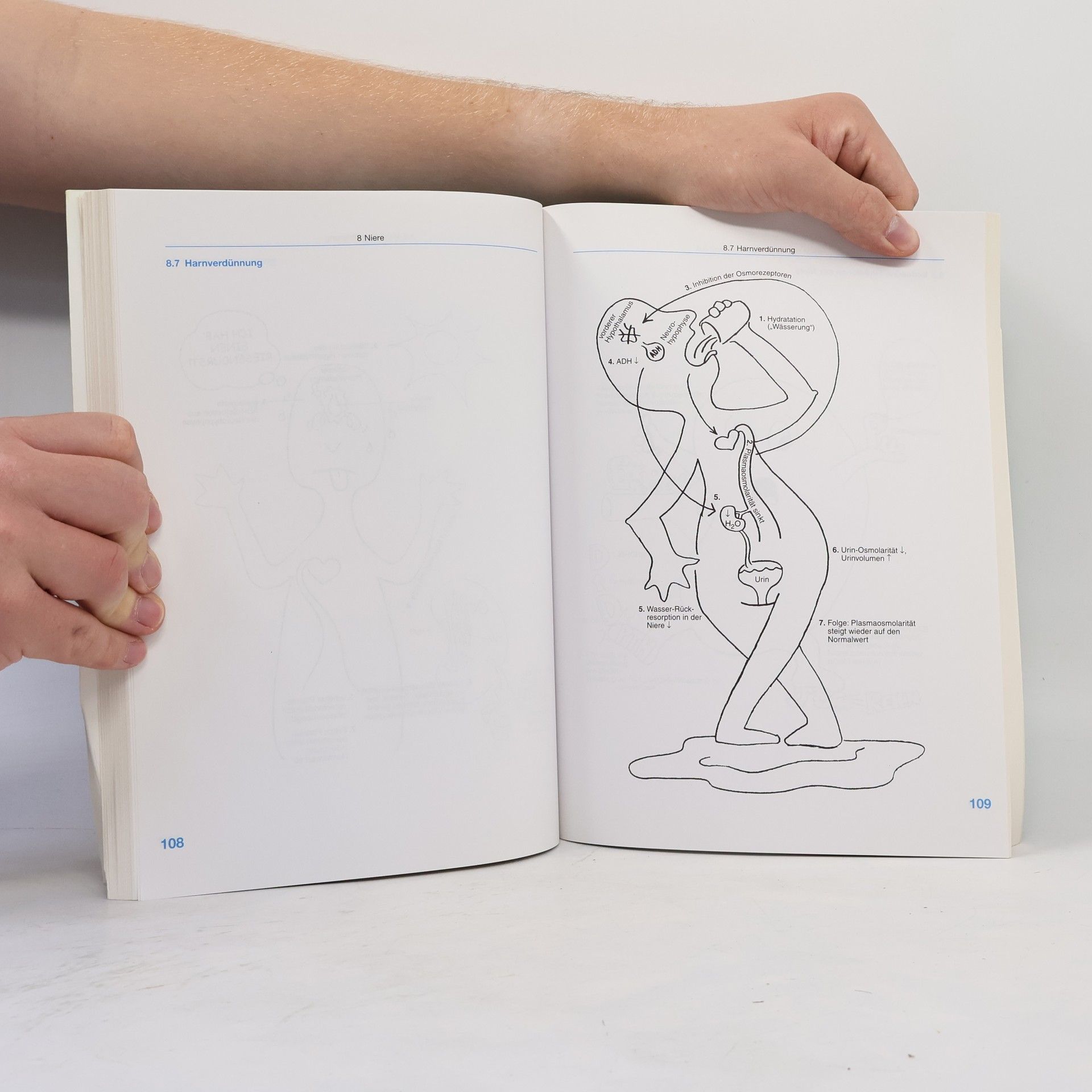 Laurie L. Marbas Memotricks Physiologie/Anatomie