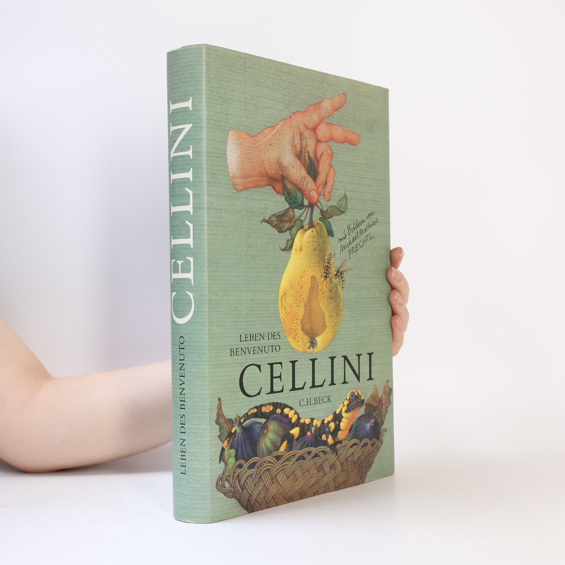 Leben des Benvenuto Cellini