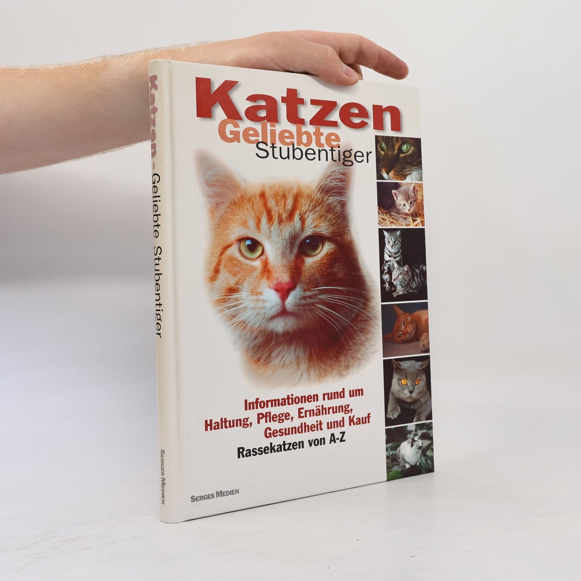 Autorenkollektiv Katzen. Geliebte Stubentiger