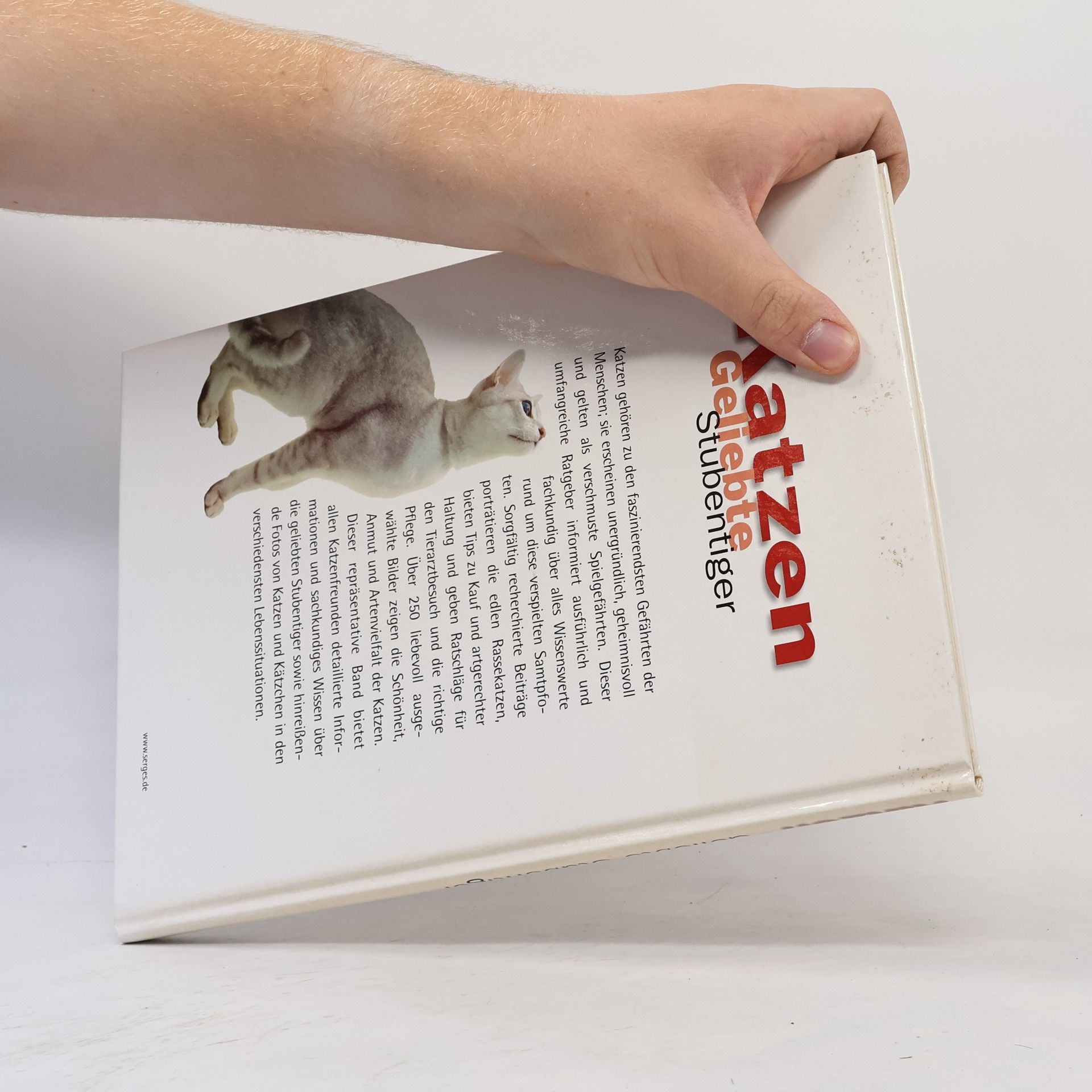 Autorenkollektiv Katzen. Geliebte Stubentiger