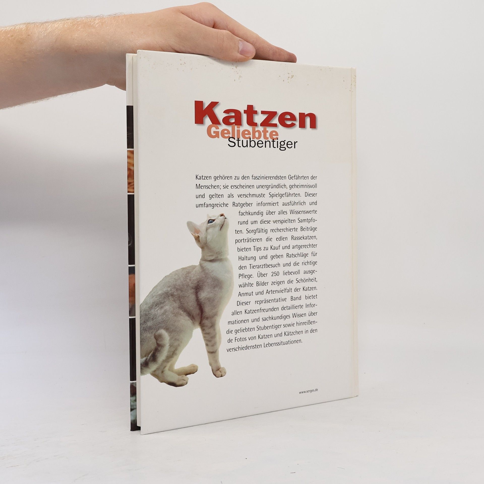 Autorenkollektiv Katzen. Geliebte Stubentiger