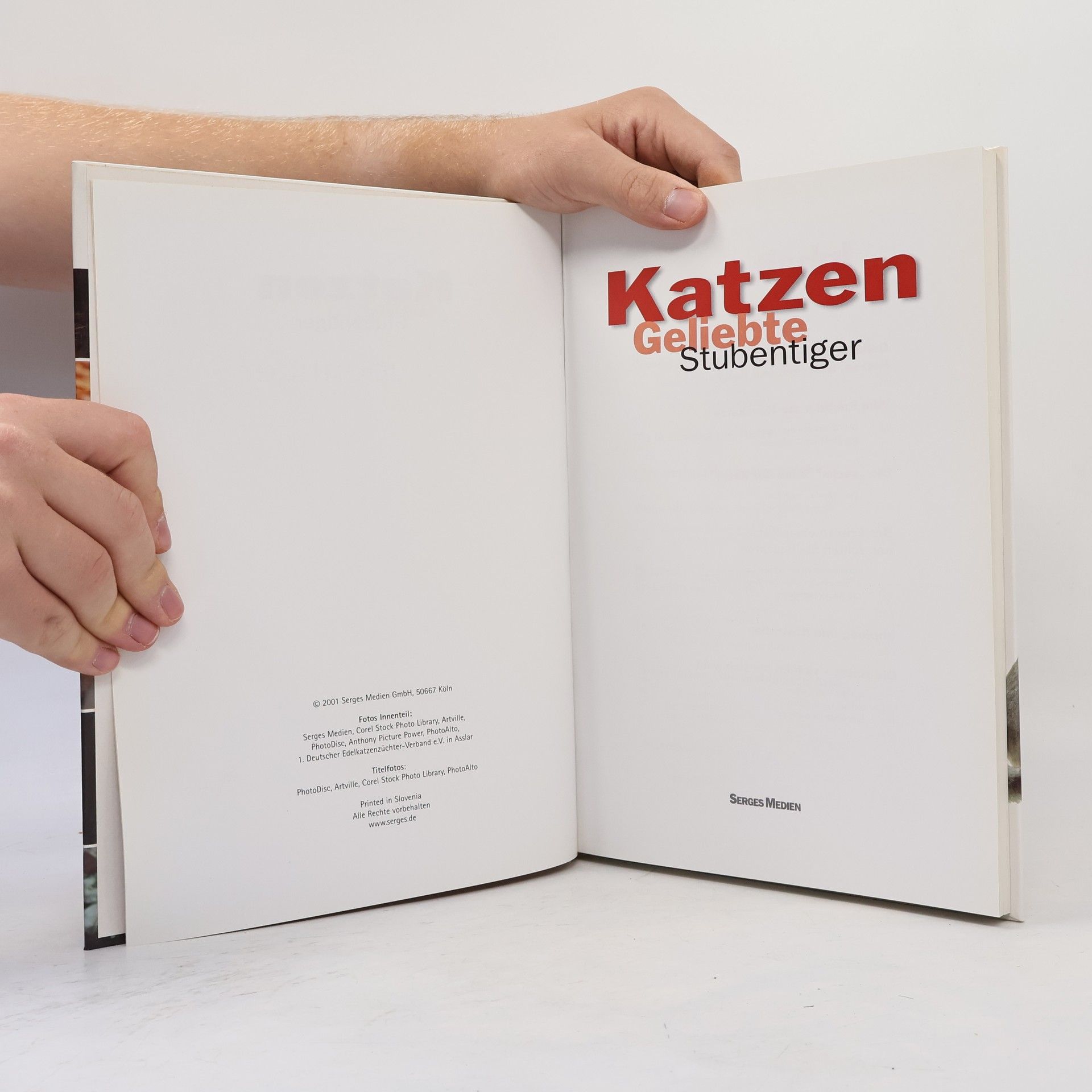 Autorenkollektiv Katzen. Geliebte Stubentiger