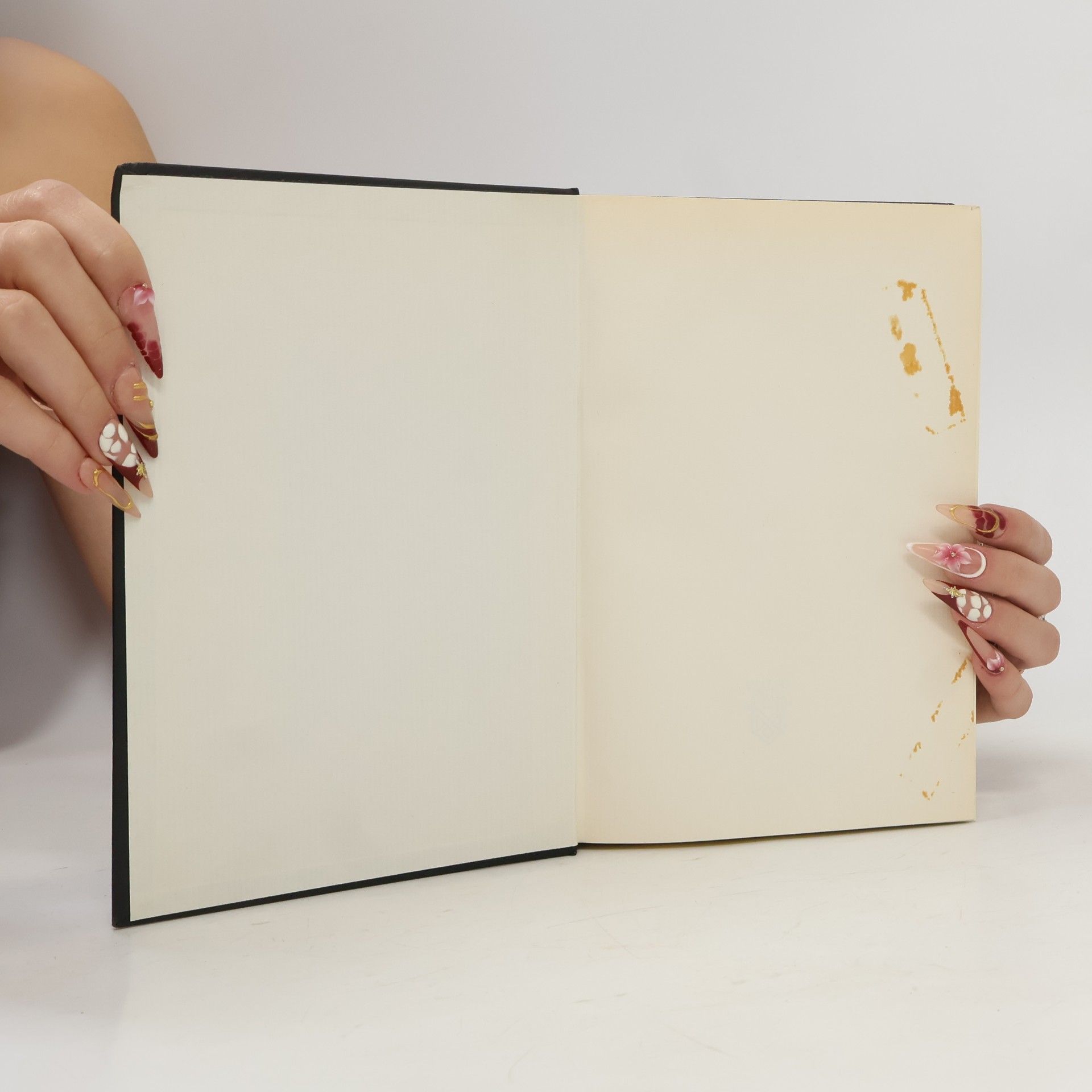 Autorenkollektiv Die Zukunfst Österreichs