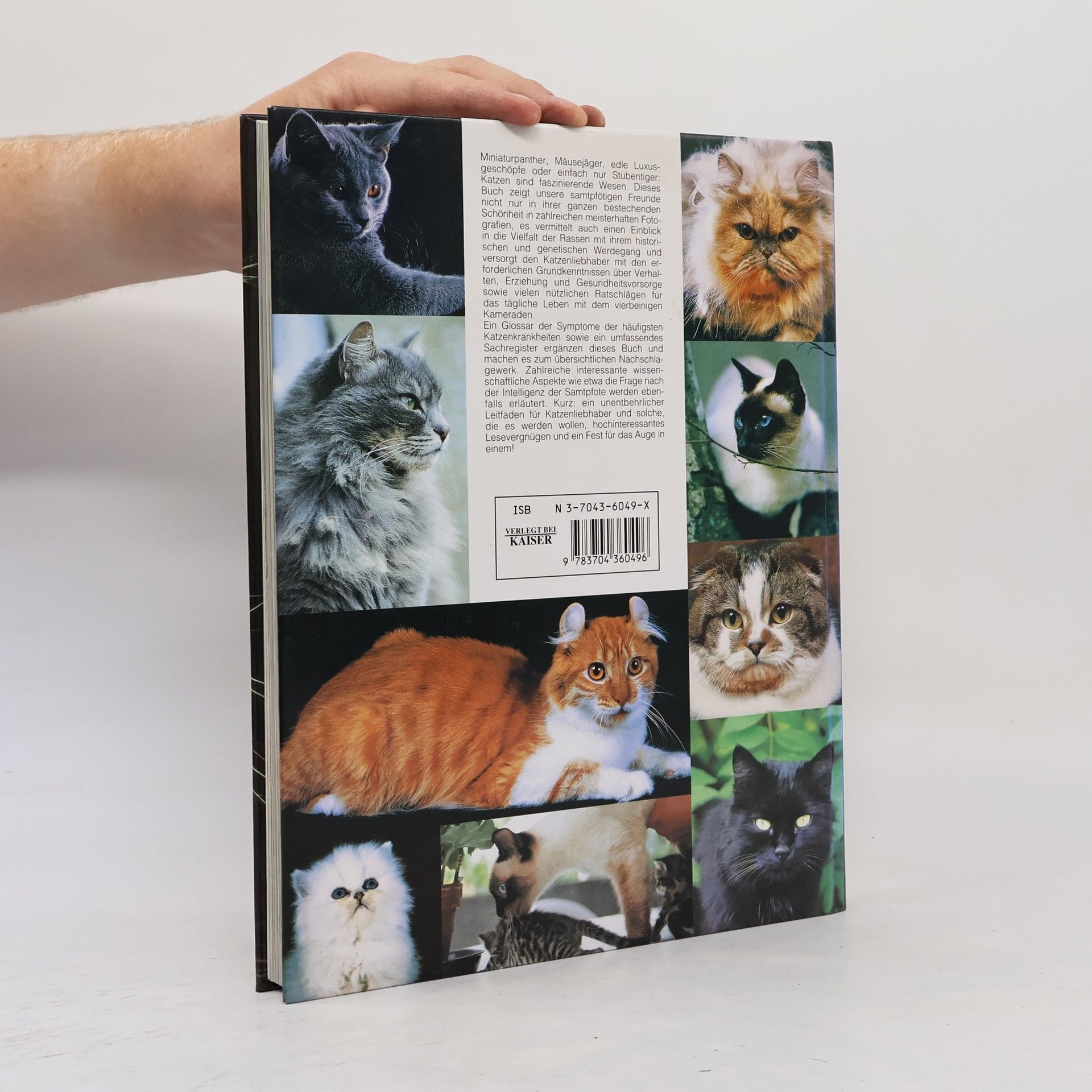Various authors Katzen