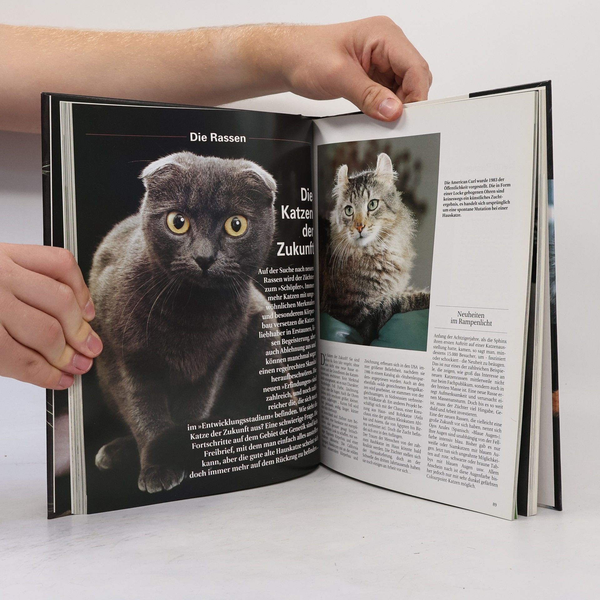 Various authors Katzen