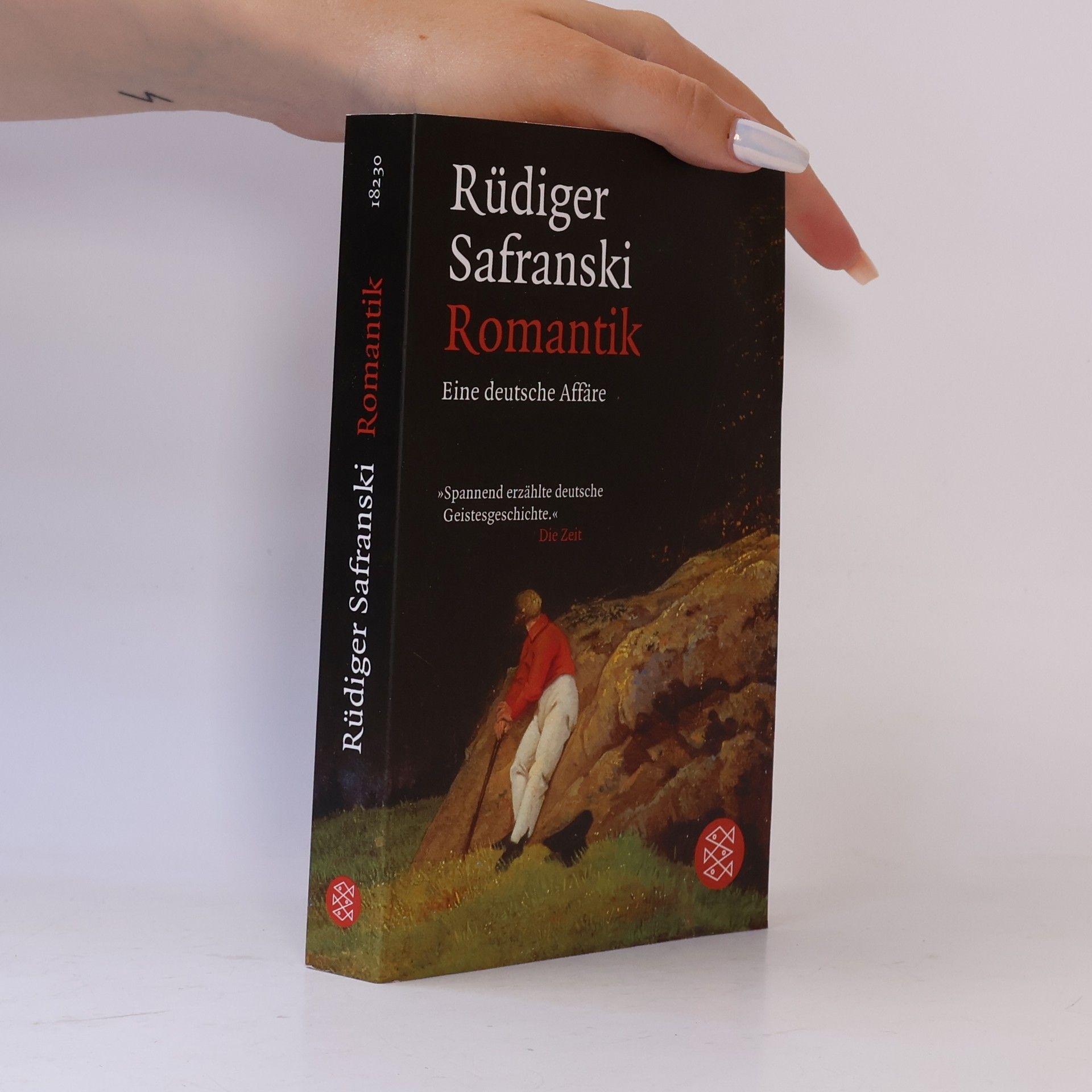 Rüdiger Safranski Romantik