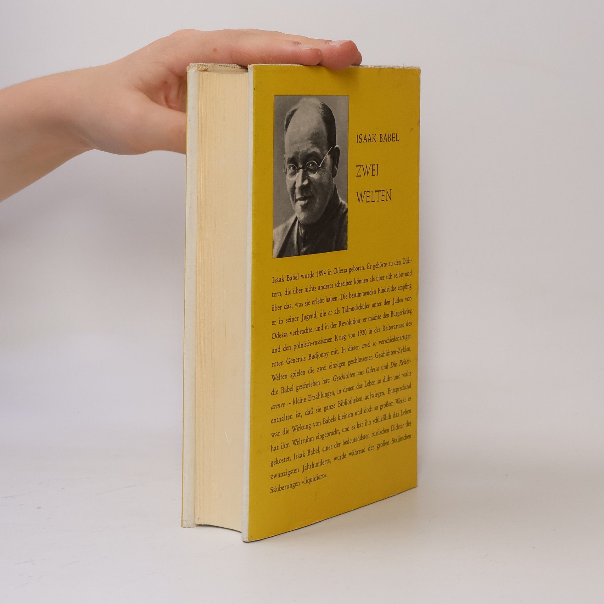 Isaak Babel Zwei Welten: Die Geschichten des Isaak Babel