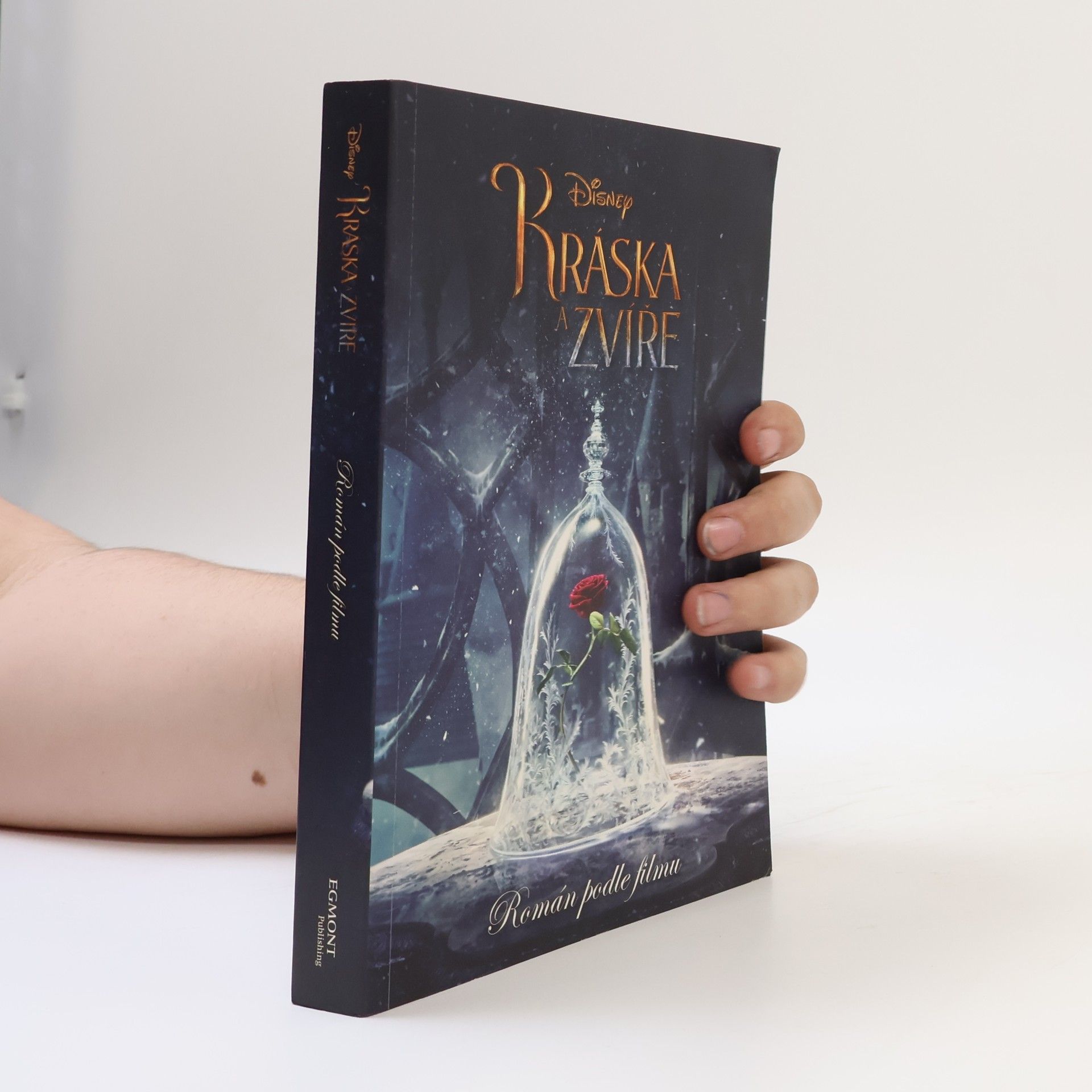Elizabeth Rudnick Kráska a Zvíře