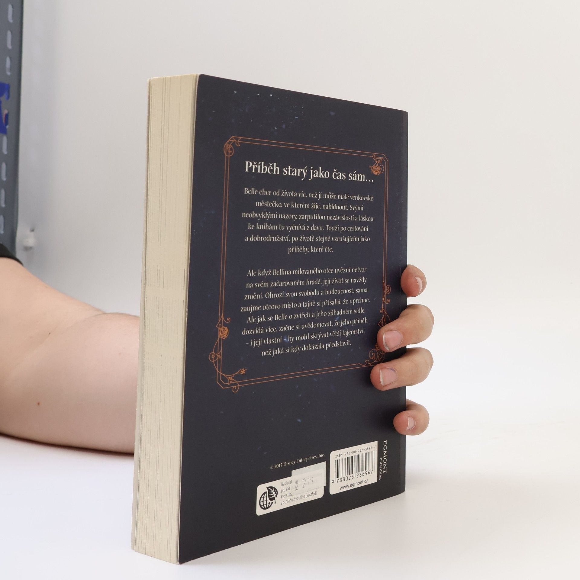Elizabeth Rudnick Kráska a Zvíře