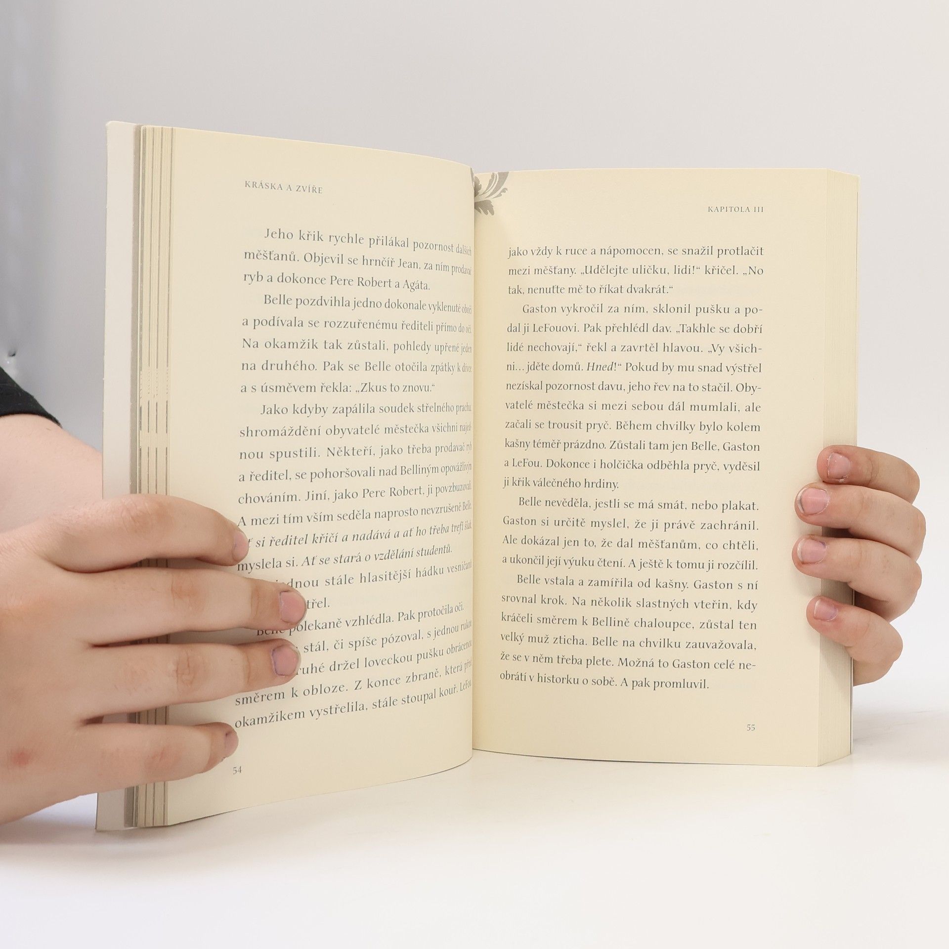 Elizabeth Rudnick Kráska a Zvíře
