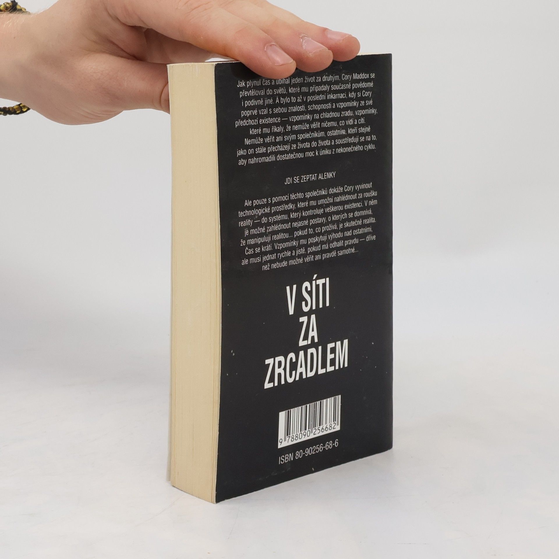 Jack L. Chalker V síti za zrcadlem