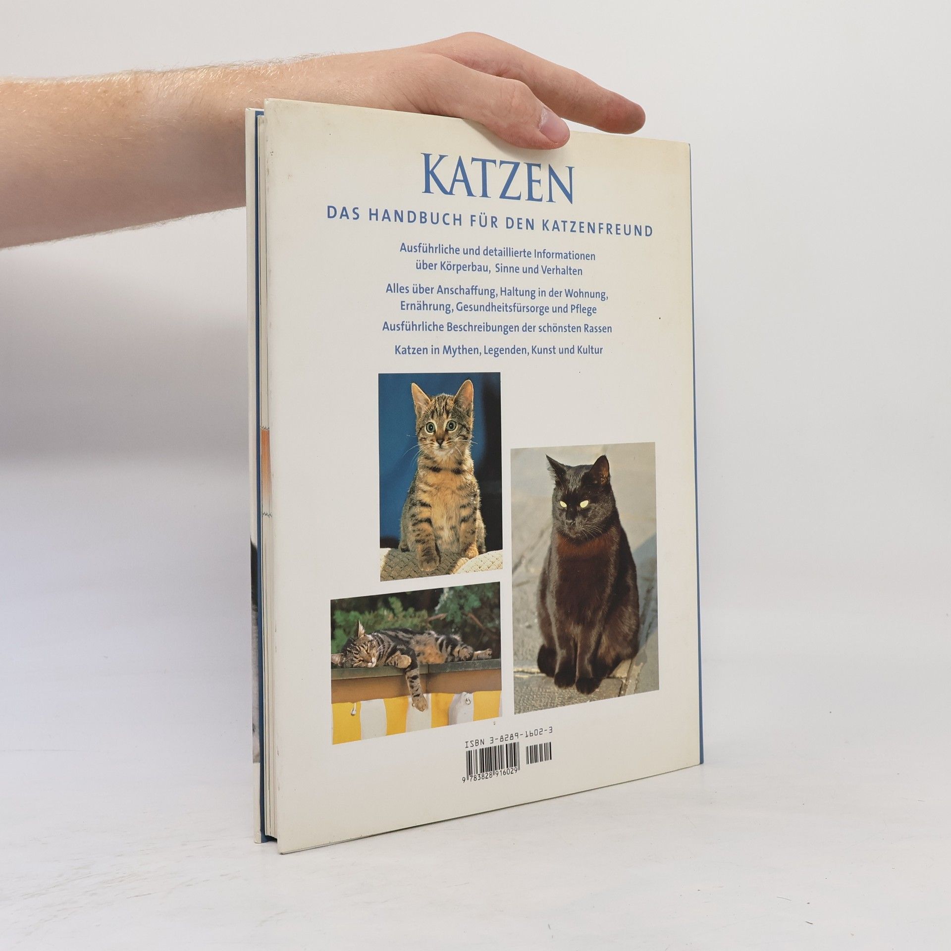 Claire Bessant Katzen