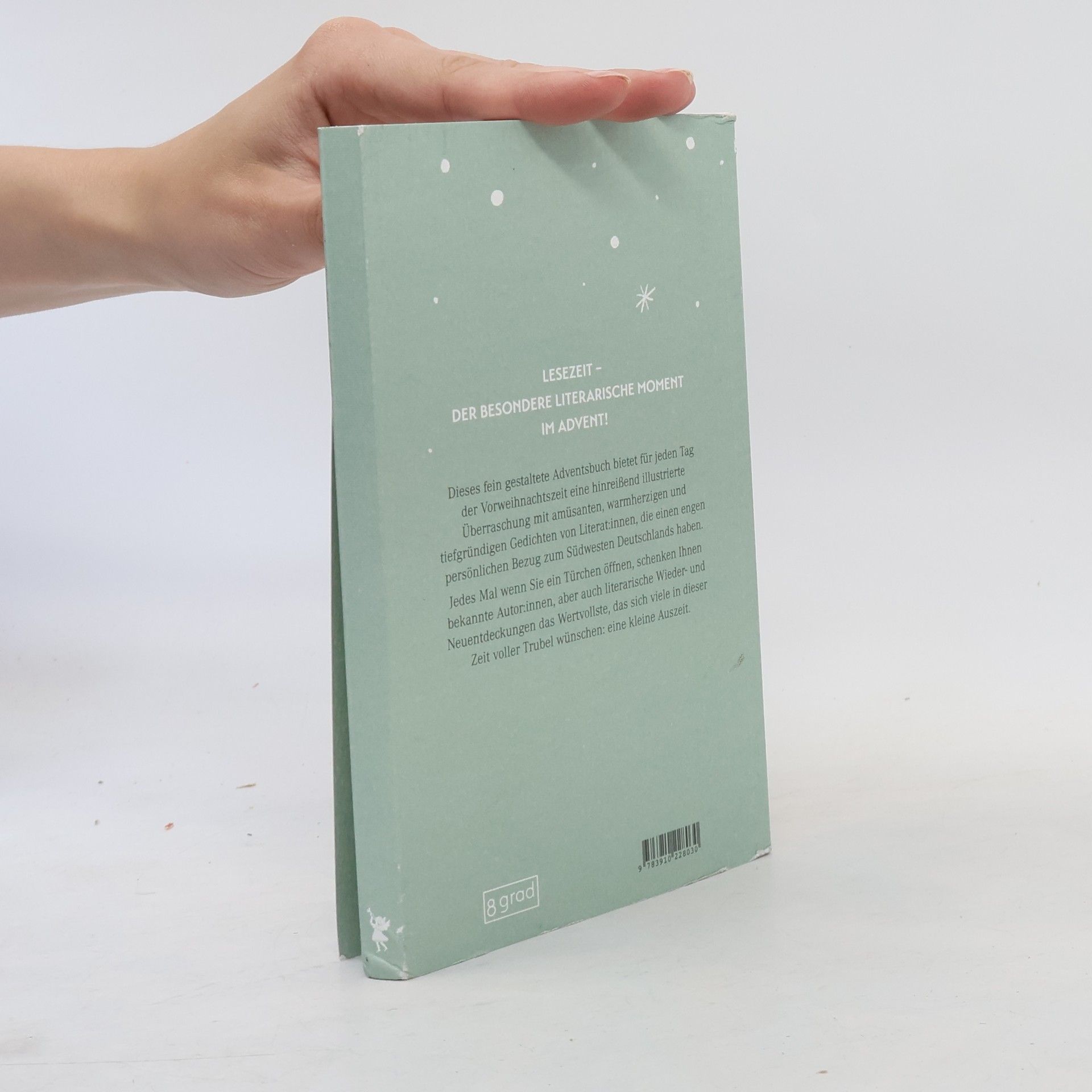 Victoria Salley Literarischer Adventskalender für Baden und Württemberg