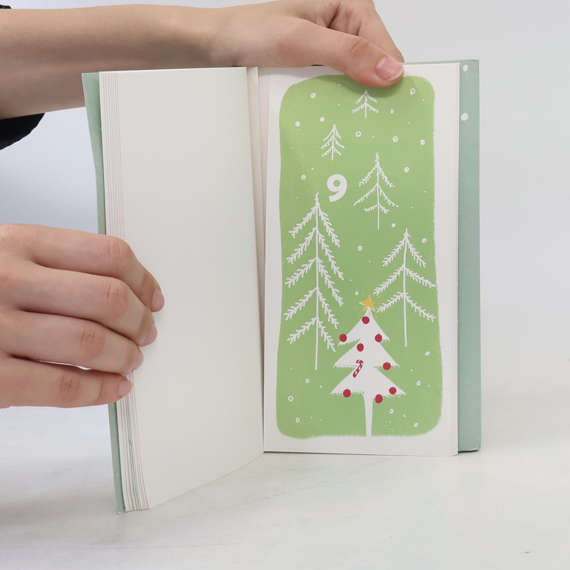 Victoria Salley Literarischer Adventskalender für Baden und Württemberg