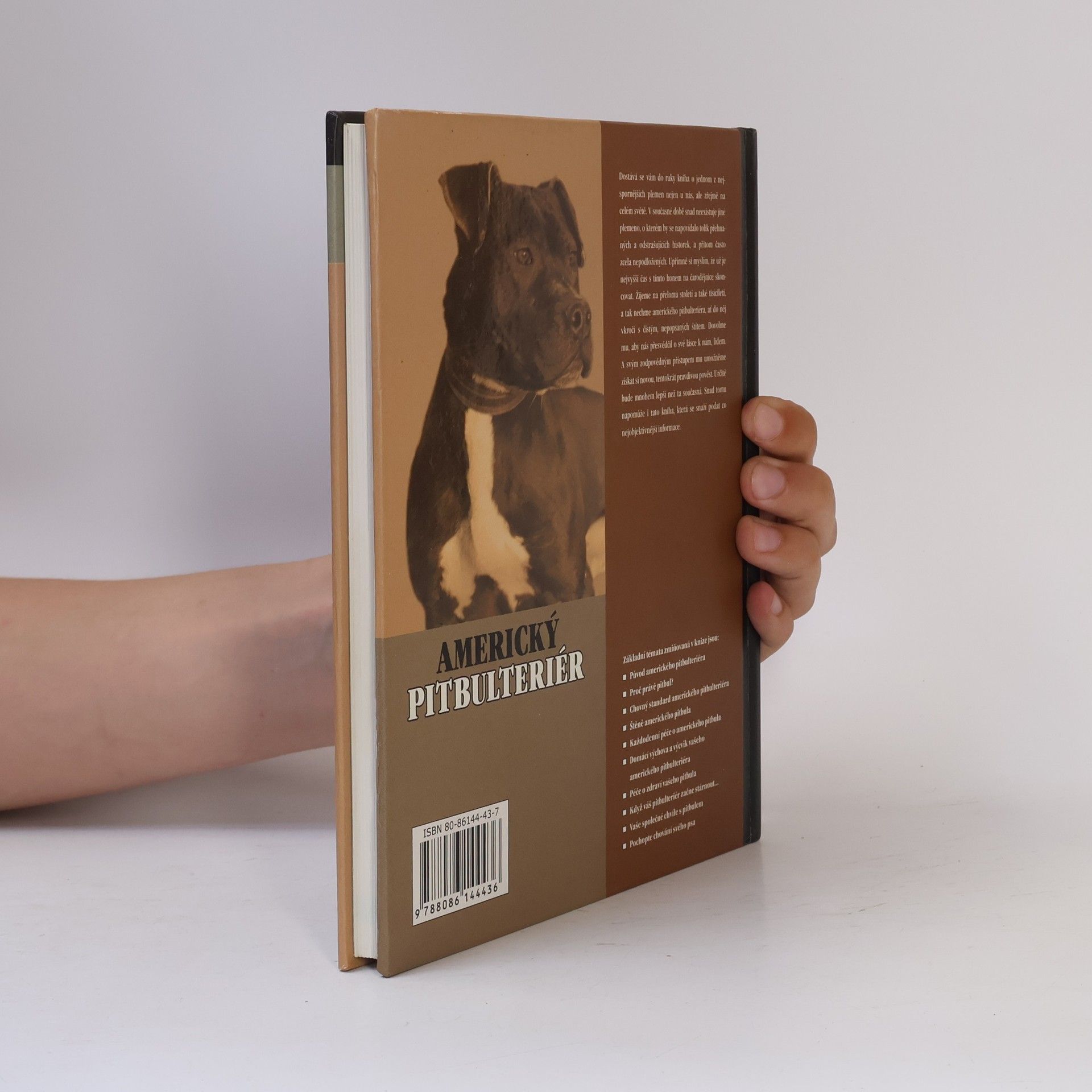 F. Favorito Americký pitbulteriér