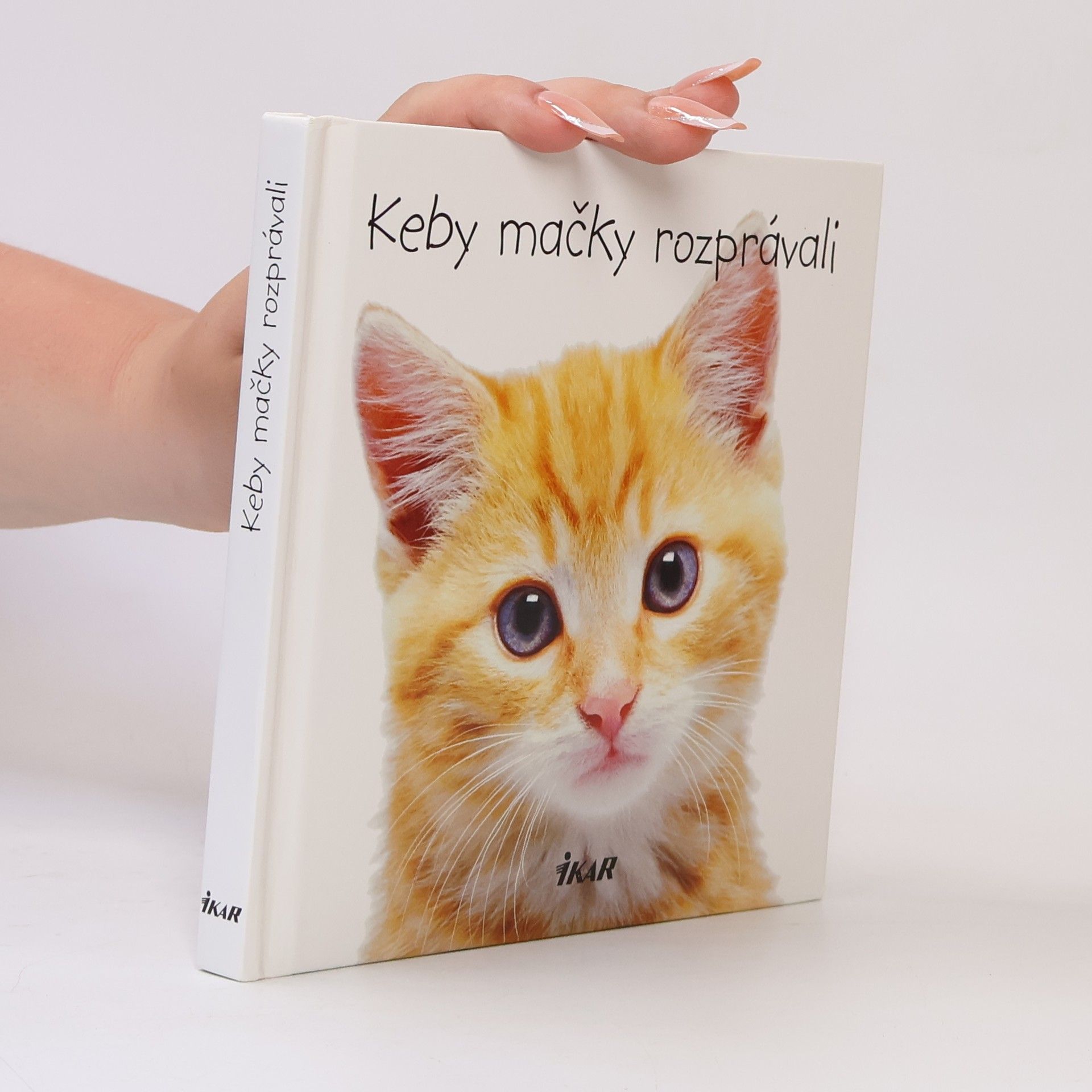 Autorenkollektiv Keby mačky rozprávali