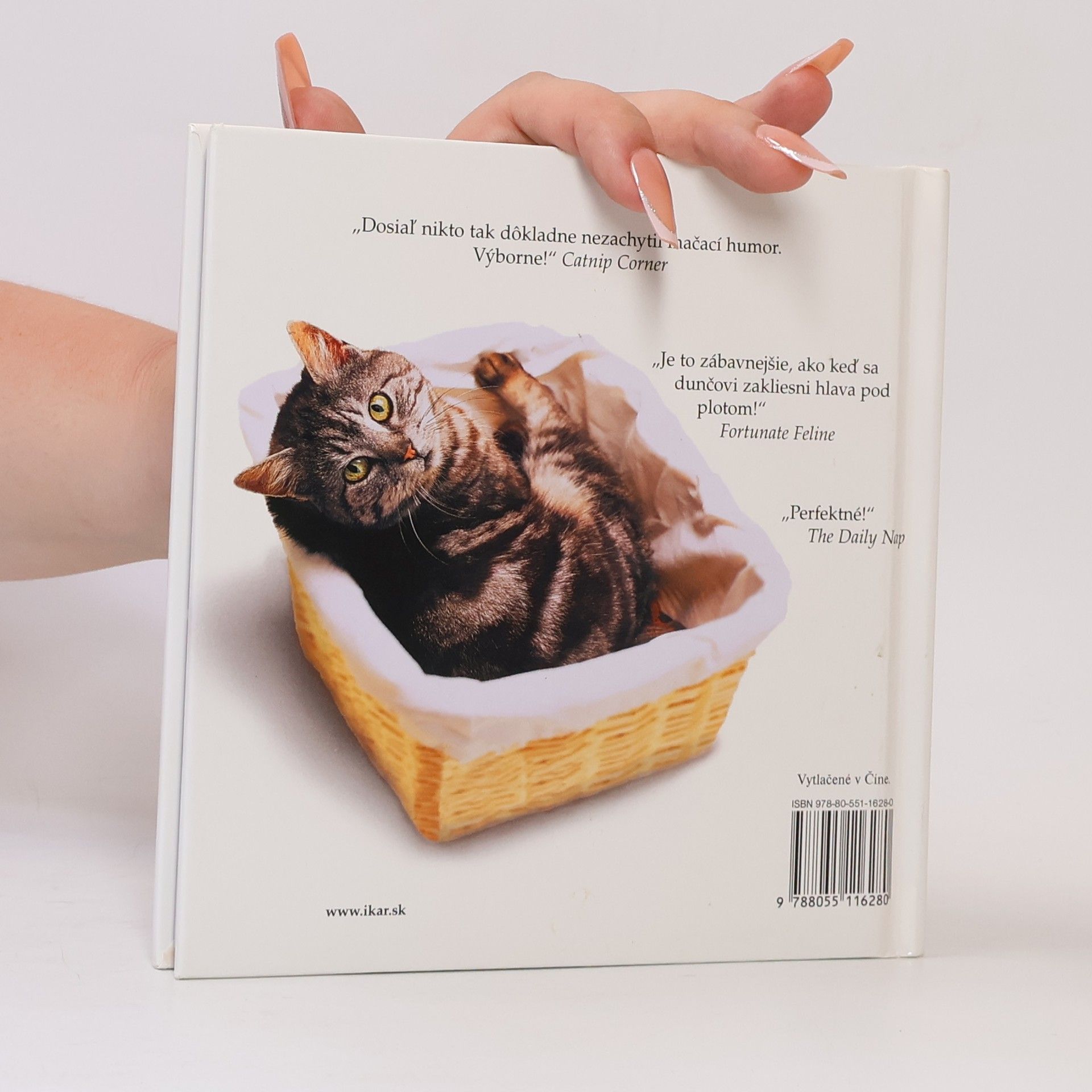 Autorenkollektiv Keby mačky rozprávali