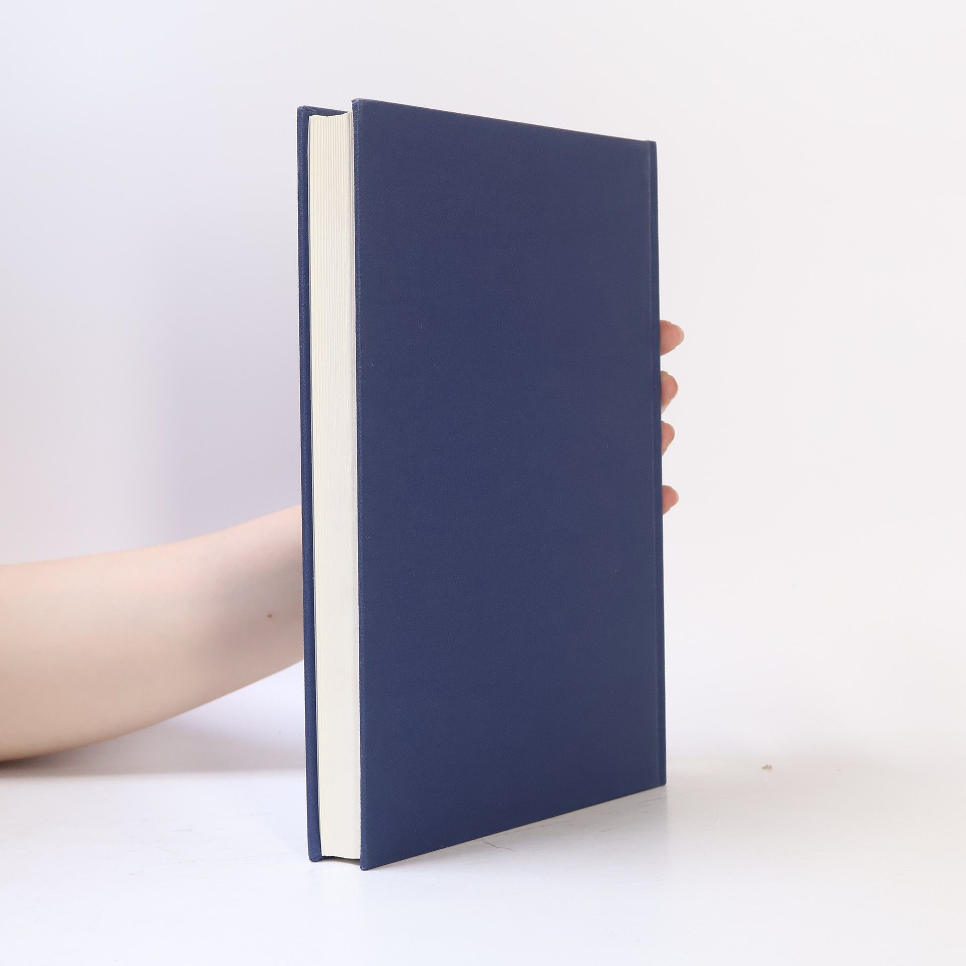 Christian Müller Schriften zur Wissenschaftsgeschichte: Vom Tollhaus zum Psychozentrum