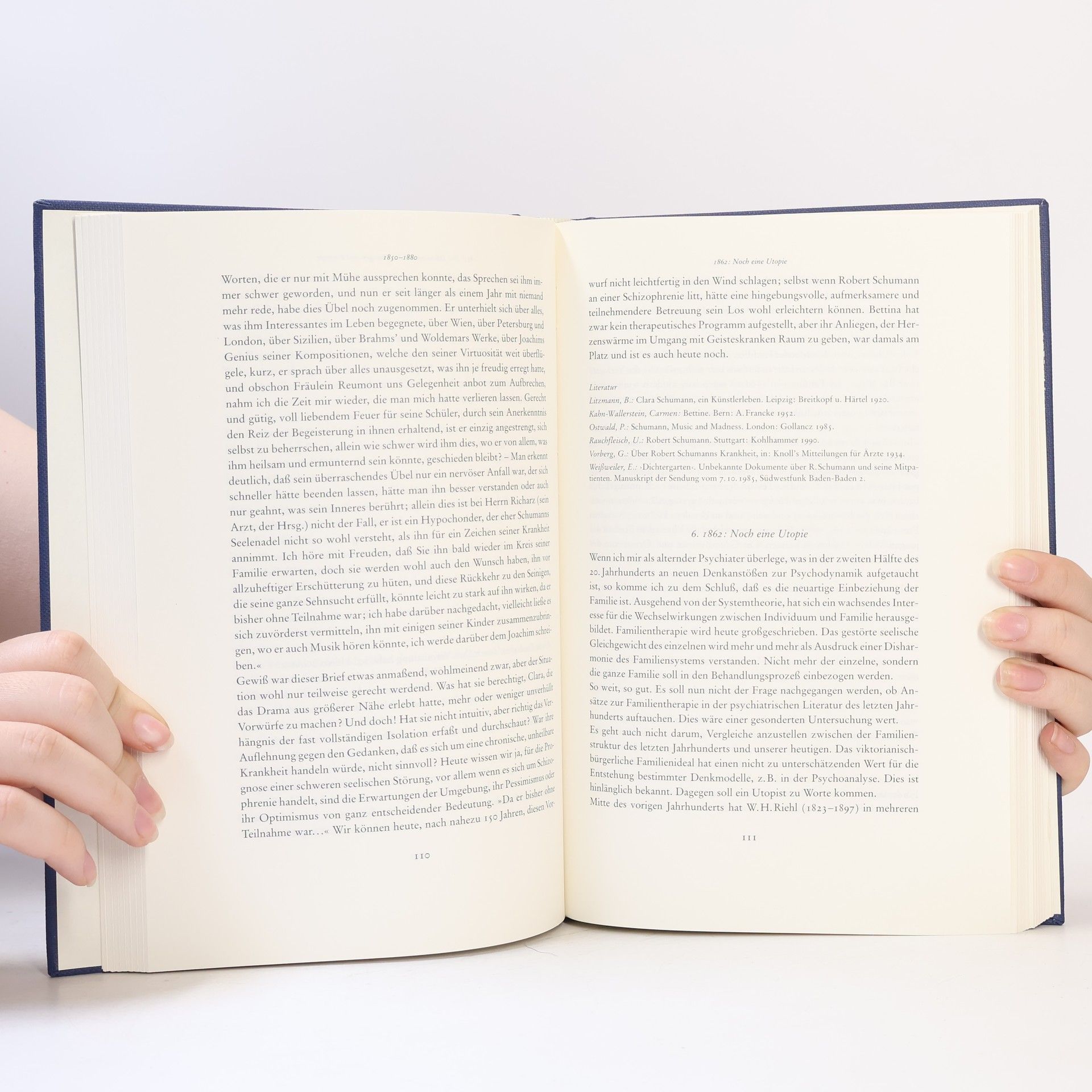 Christian Müller Schriften zur Wissenschaftsgeschichte: Vom Tollhaus zum Psychozentrum