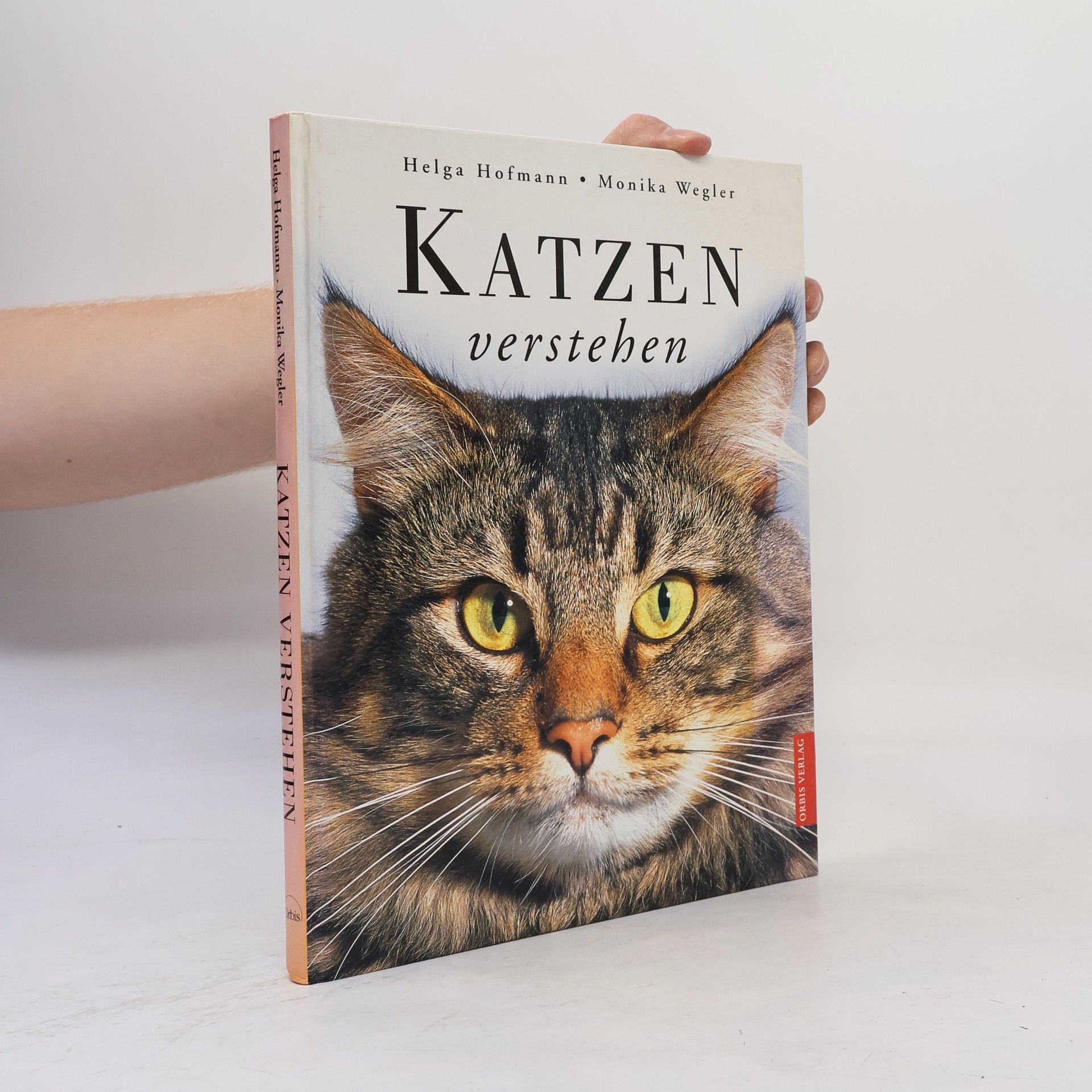 Katzen verstehen
