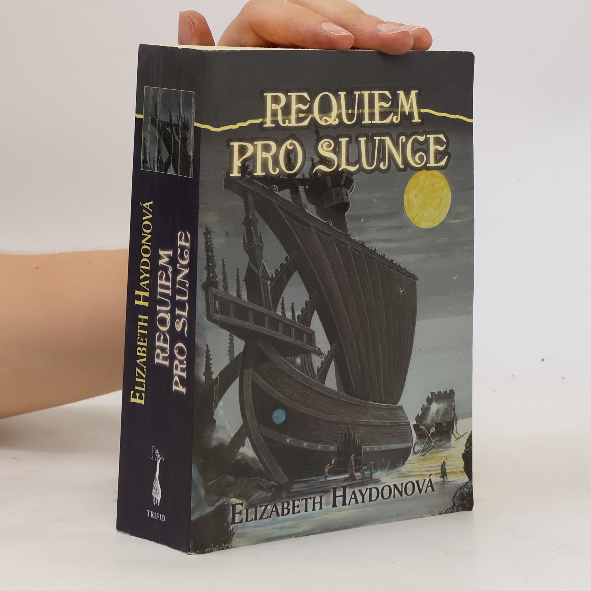 Elizabeth Haydon Requiem pro slunce