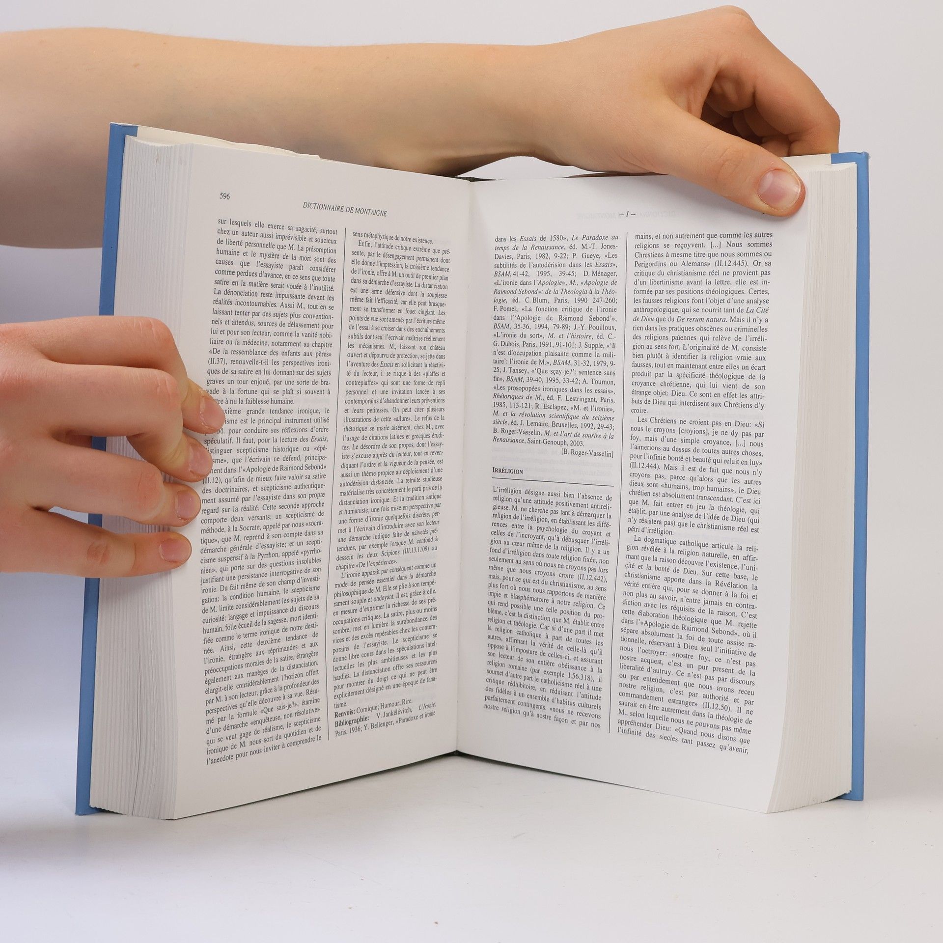 Philippe Desan Dictionnaire de Michel de Montaigne