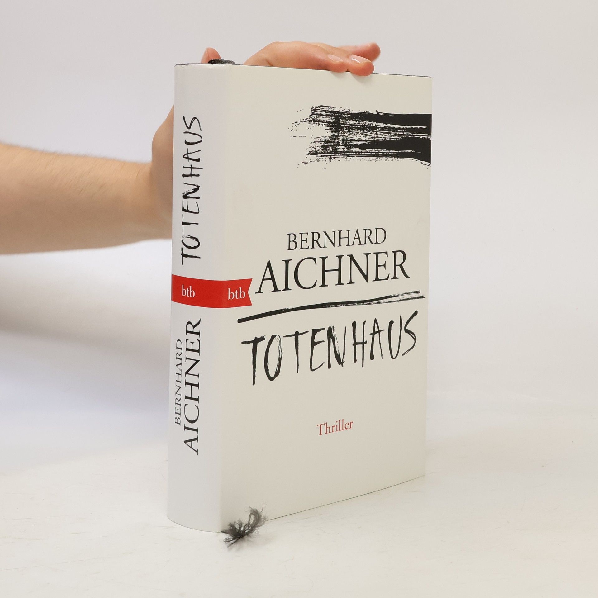 Bernhard Aichner Totenhaus