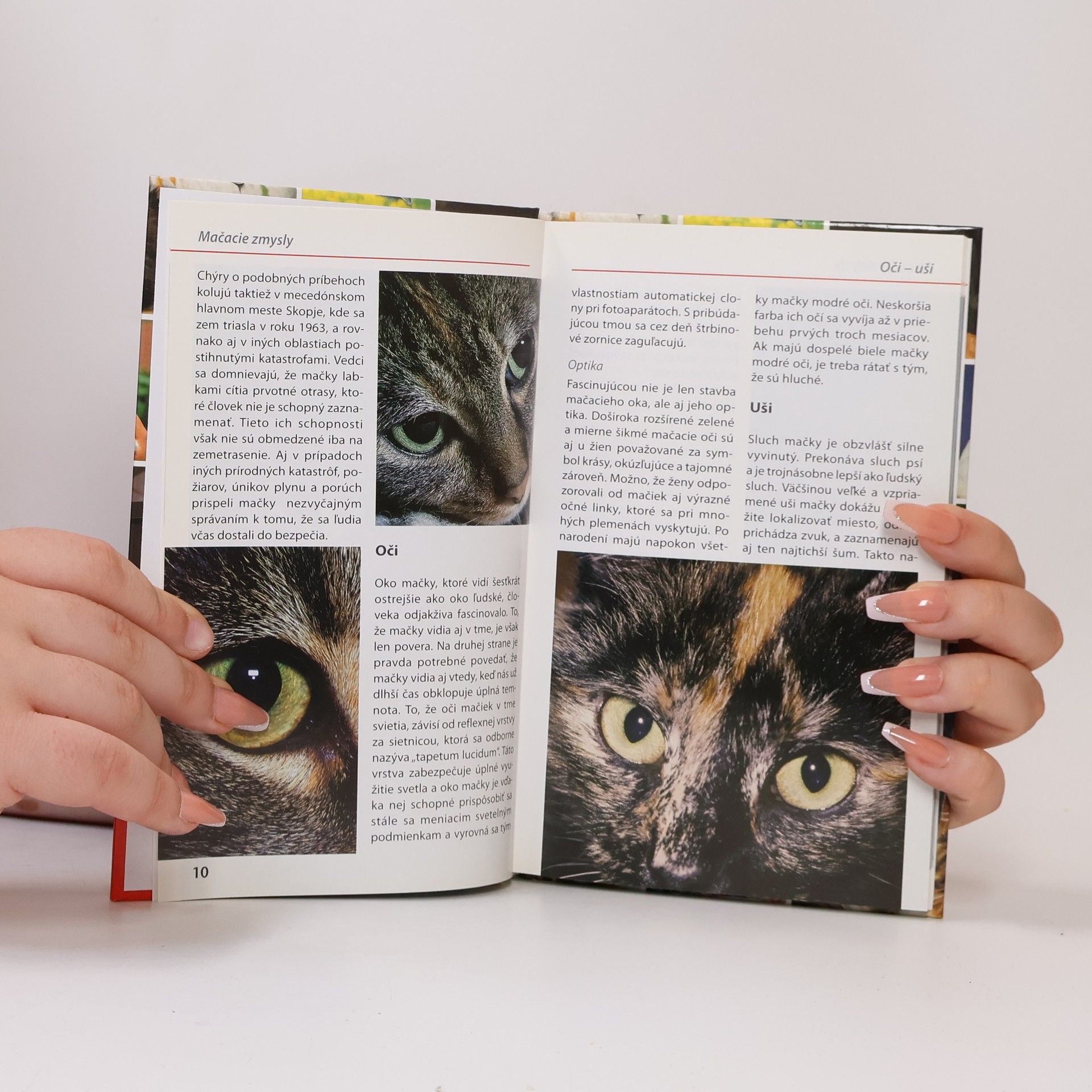 Various authors Mačky - poznávame a určujeme