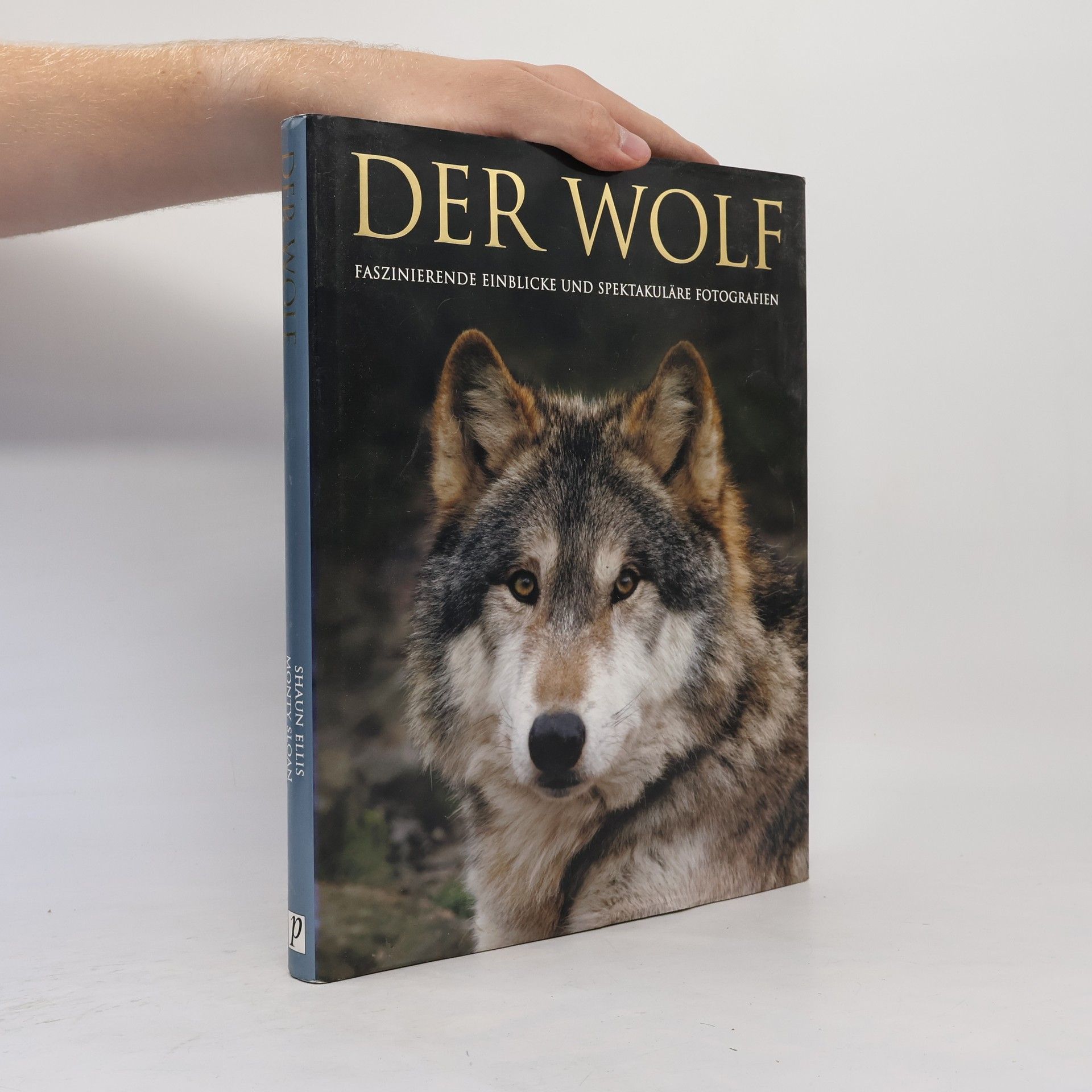 Shaun Ellis Der Wolf
