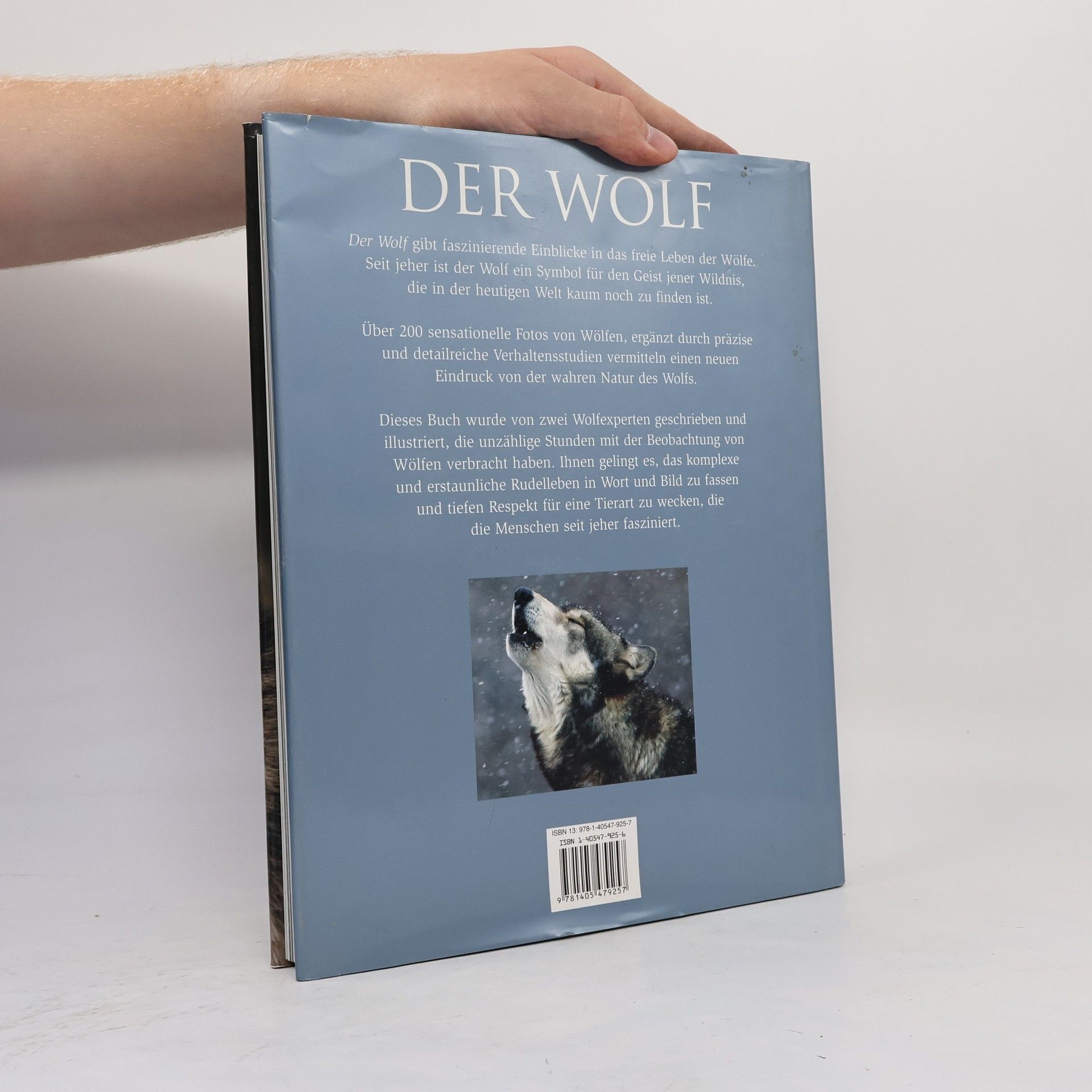 Shaun Ellis Der Wolf