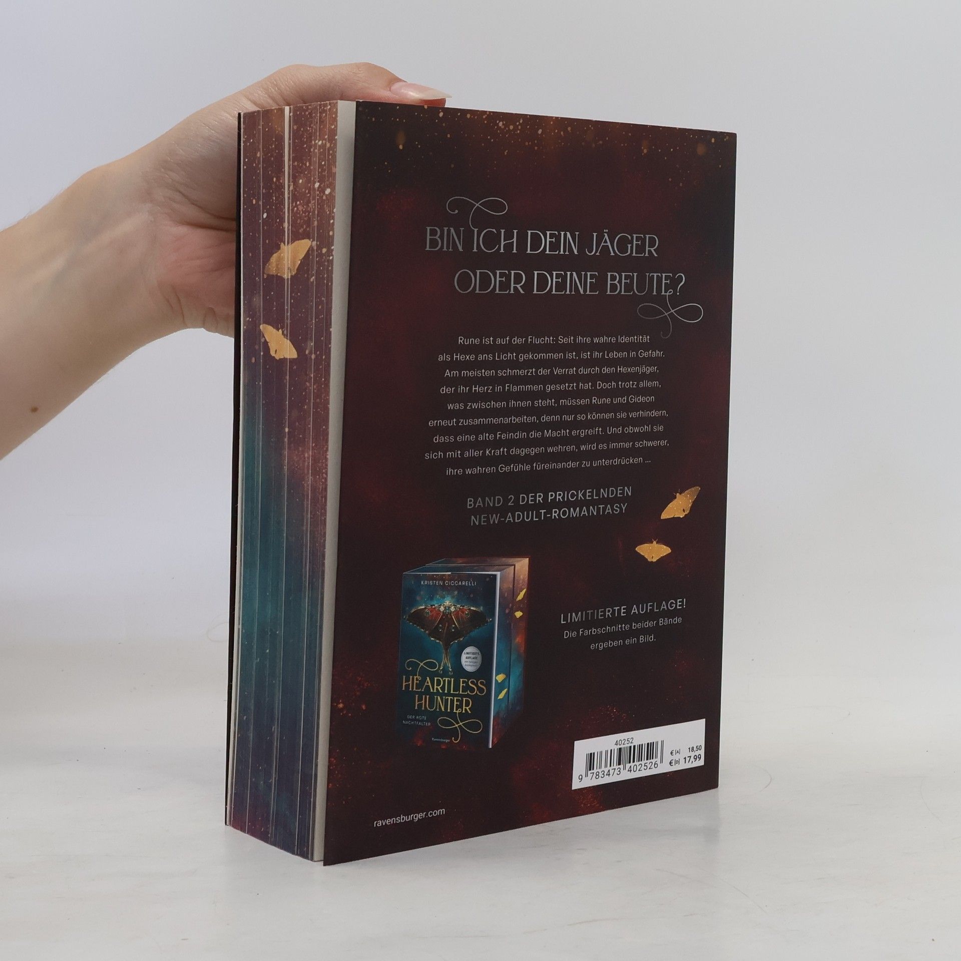 Kristen Ciccarelli Der rote Nachtfalter - 2: Rebel Witch