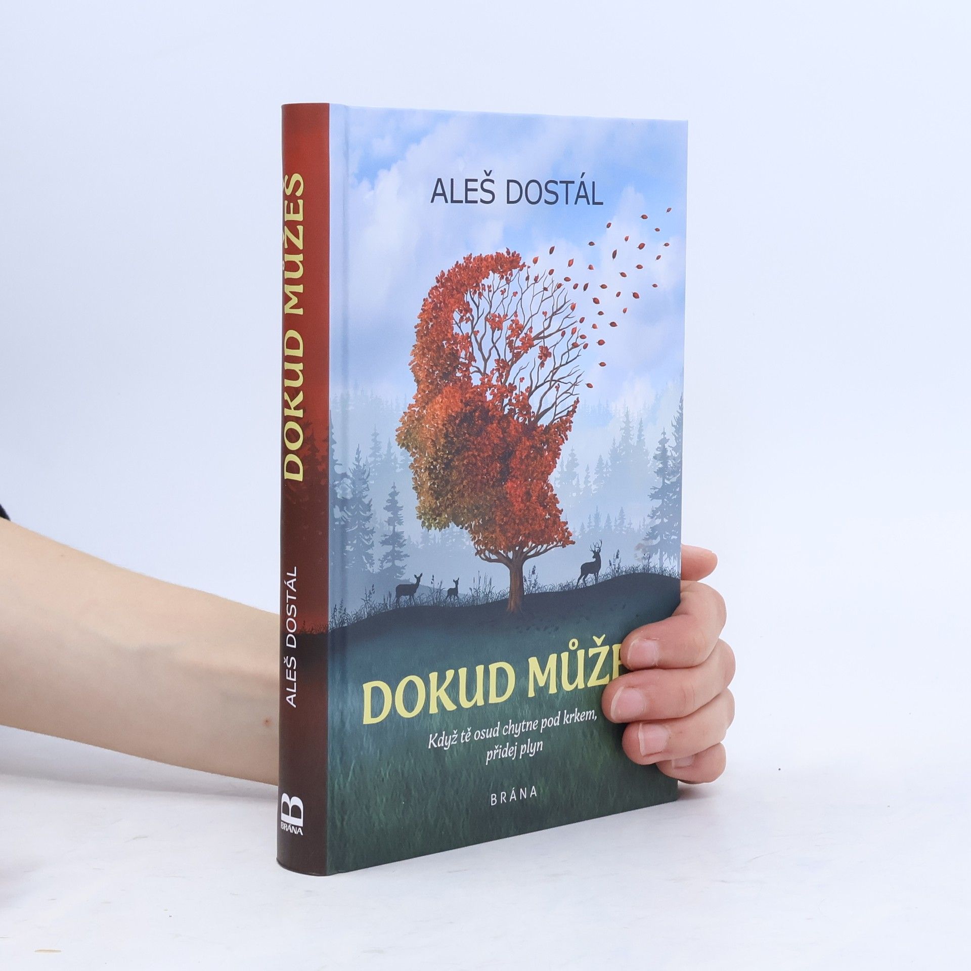 Dokud můžeš