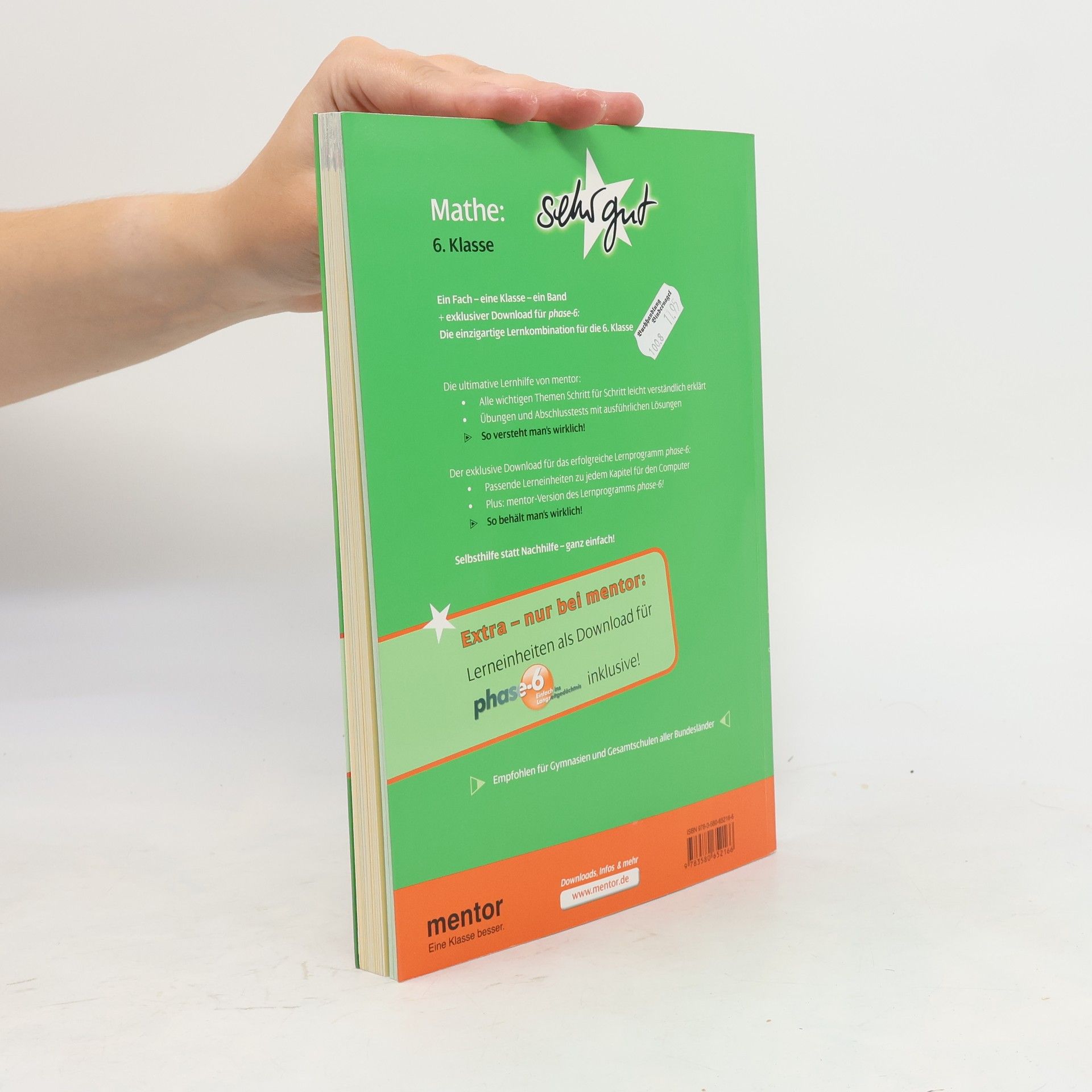 Uwe Fricke Mathe: sehr gut, 6. Klasse - Buch mit Download für phase-6