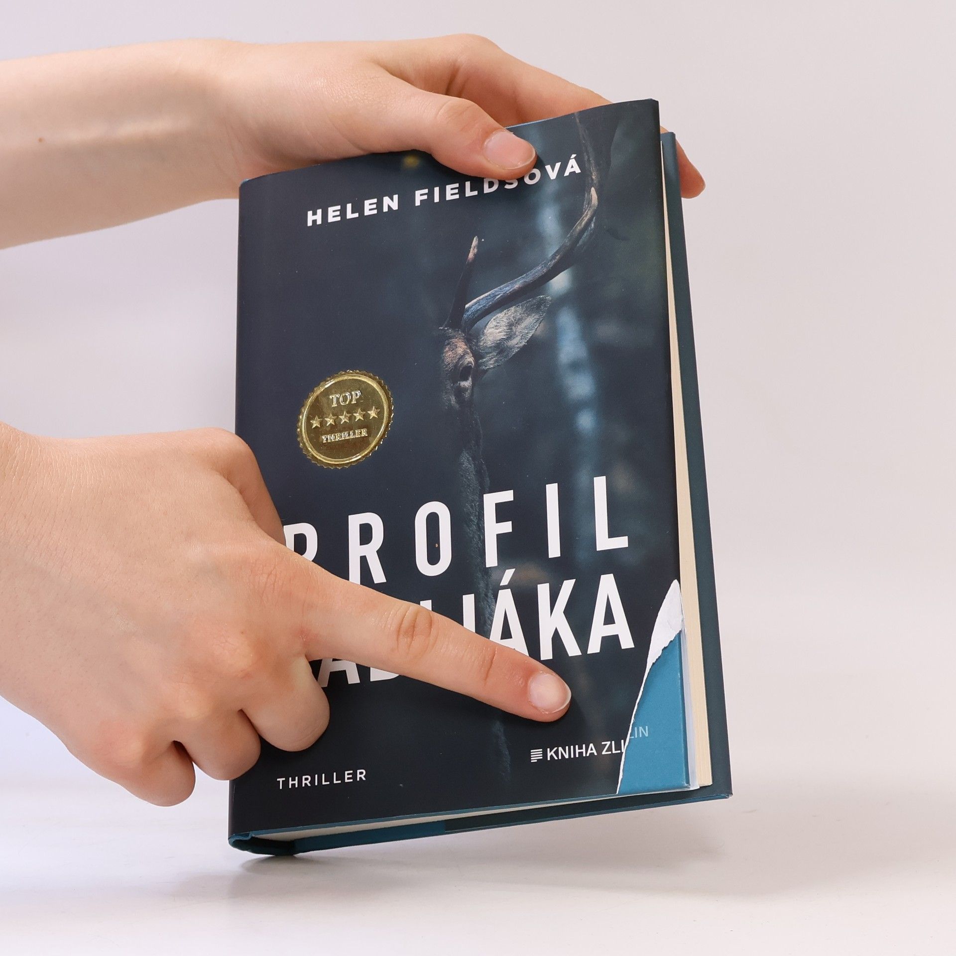 Helen Fields Profil zabijáka