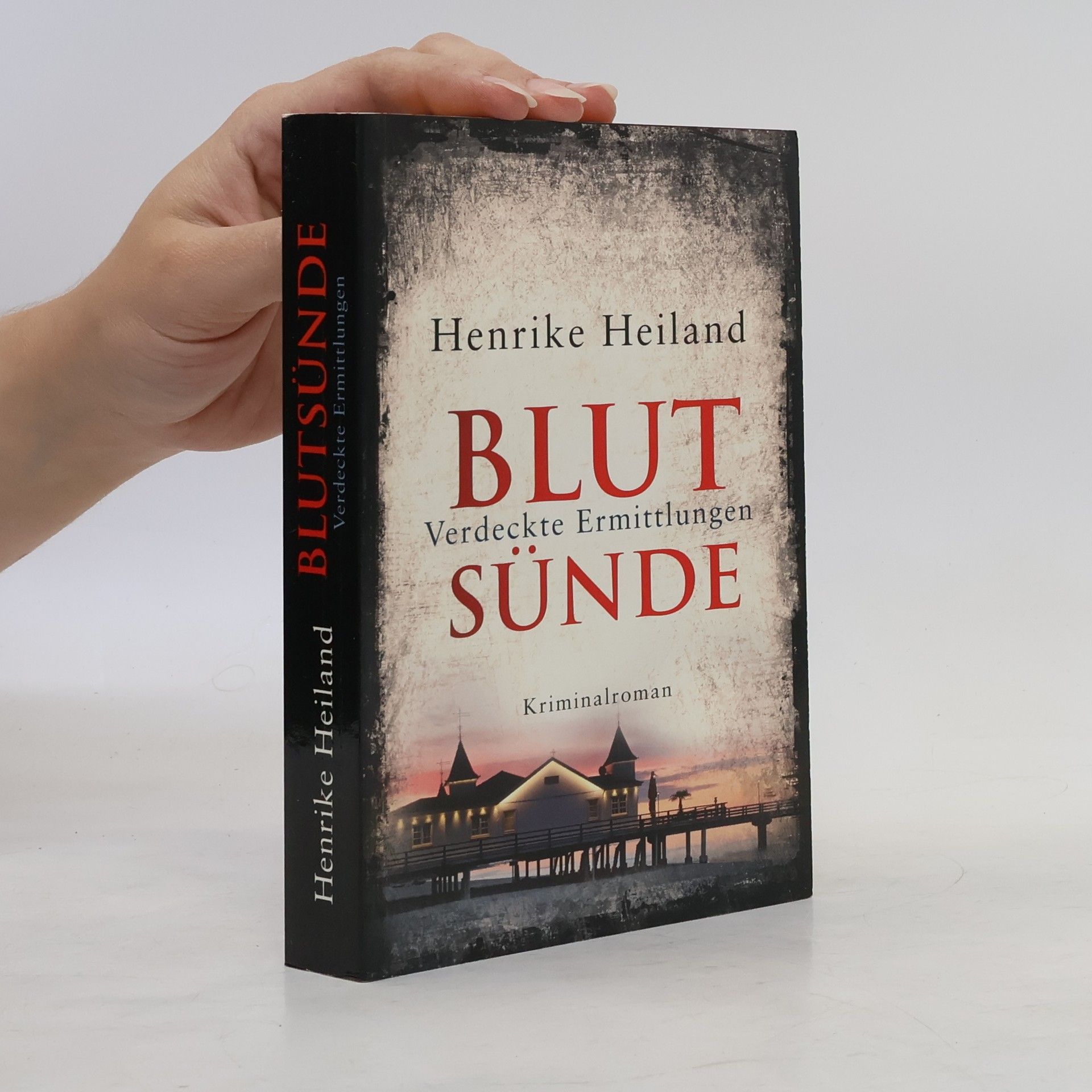 Henrike Heiland Blutsünde