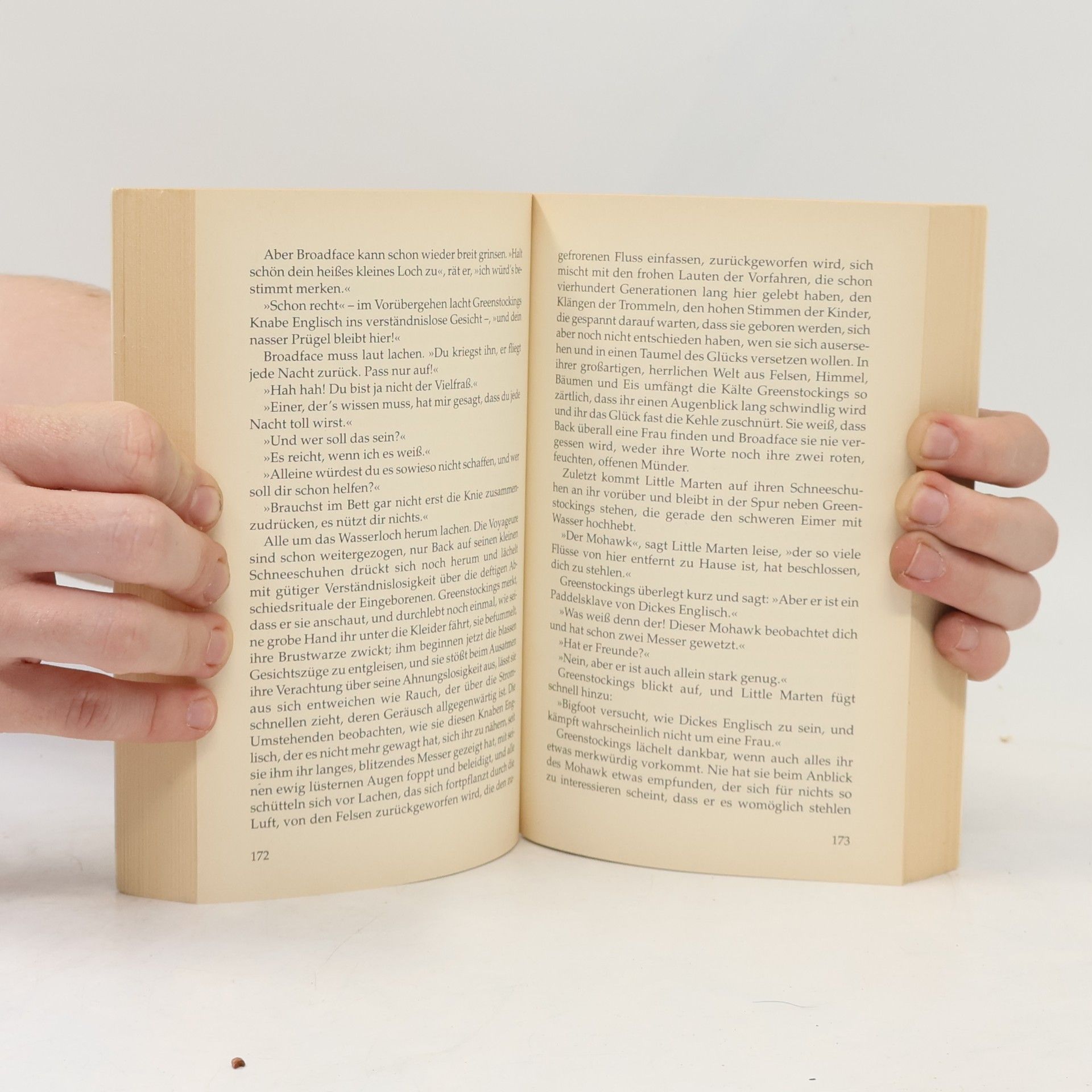Rudy Wiebe Land jenseits der Stimmen