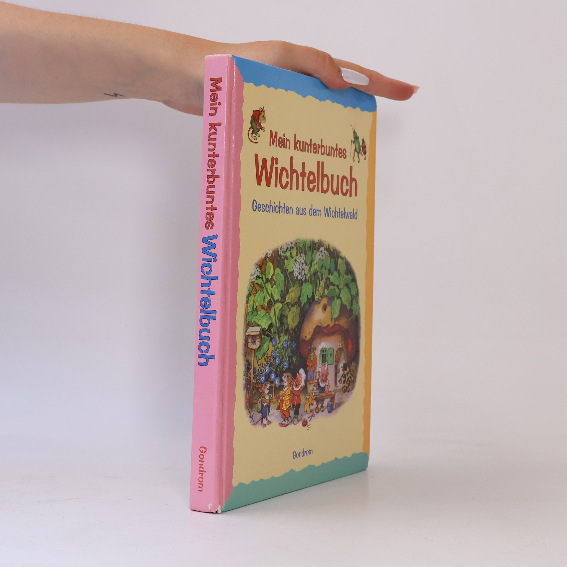 Collectif d'auteurs Mein grosses Wichtelbuch