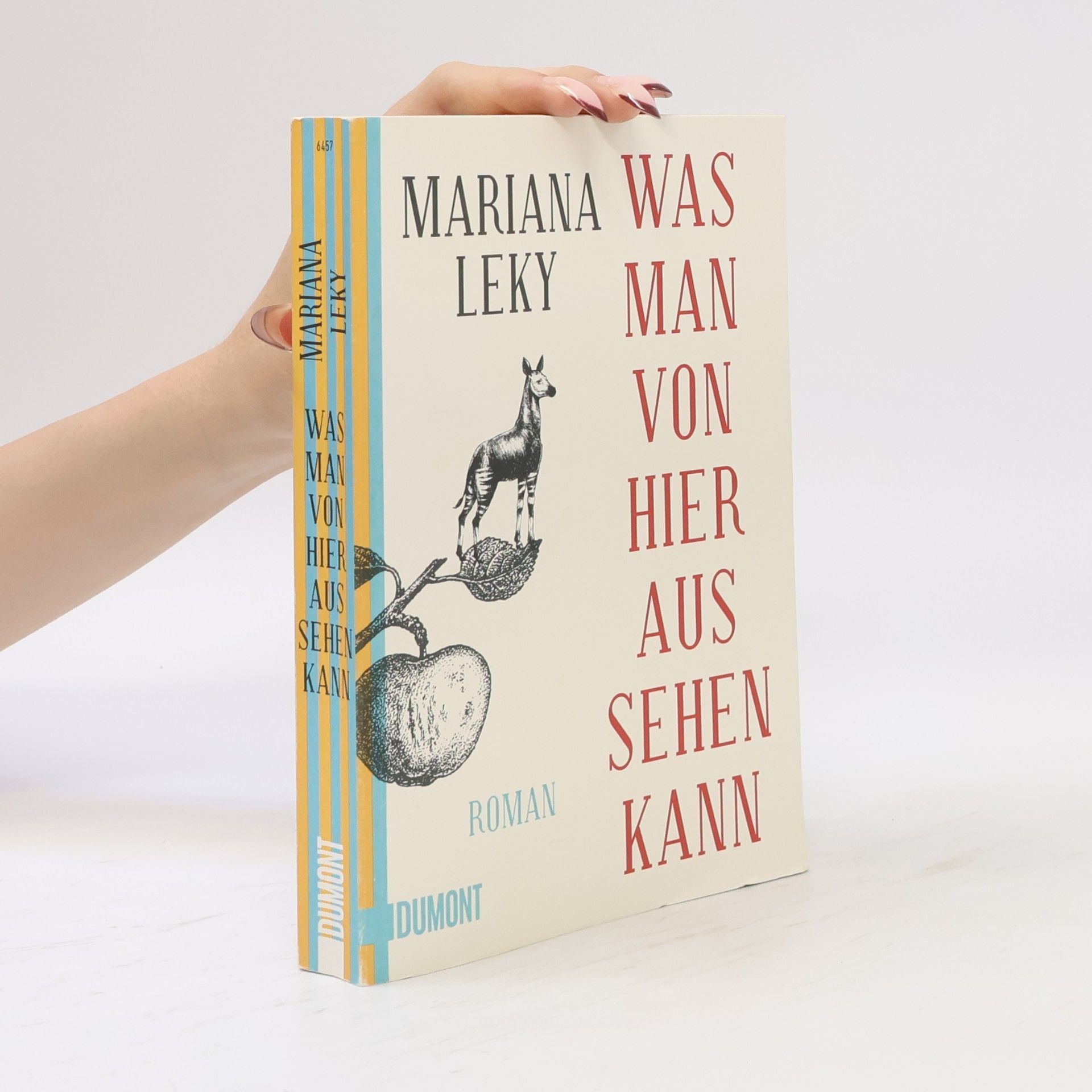 Mariana Leky Was man von hier aus sehen kann