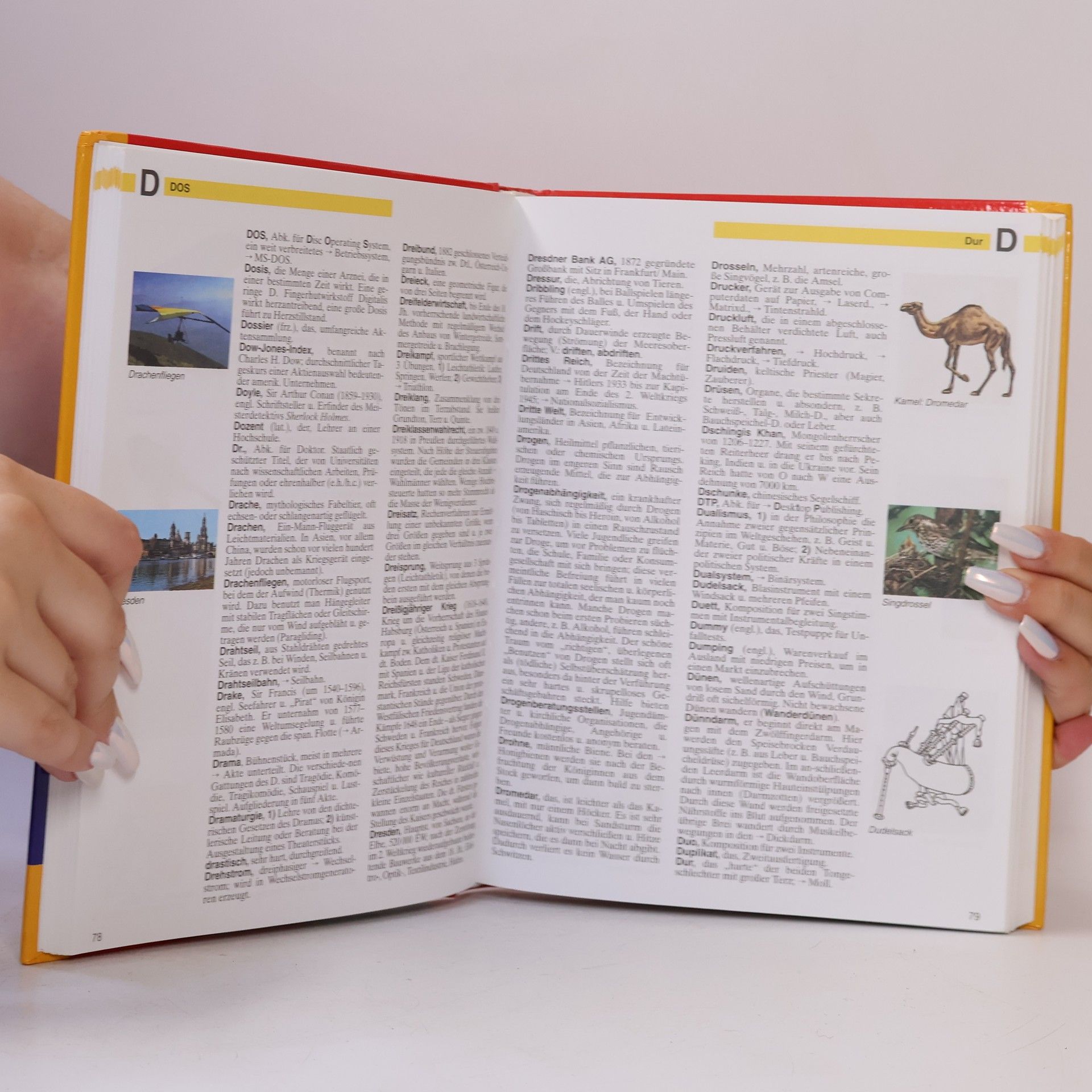 Autorenkollektiv Großes farbiges Schülerlexikon von A-Z