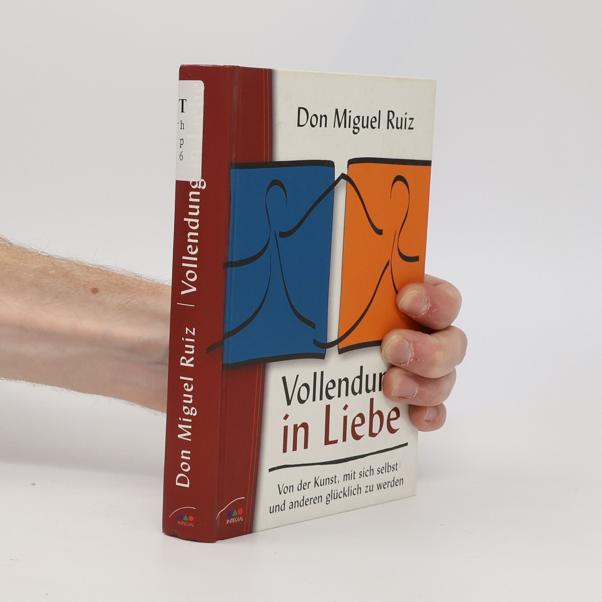 Don Miguel Ruiz Vollendung in Liebe