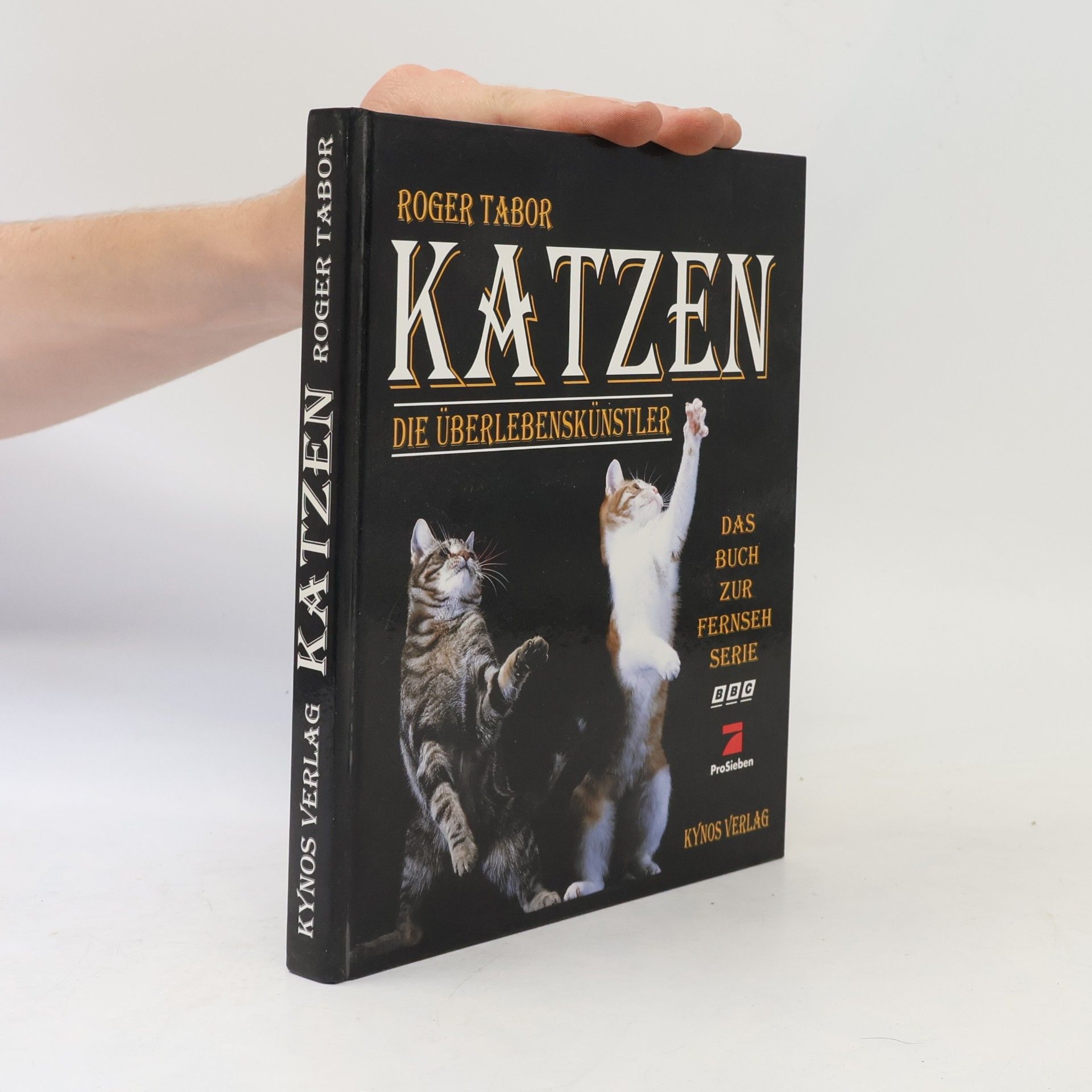 Katzen