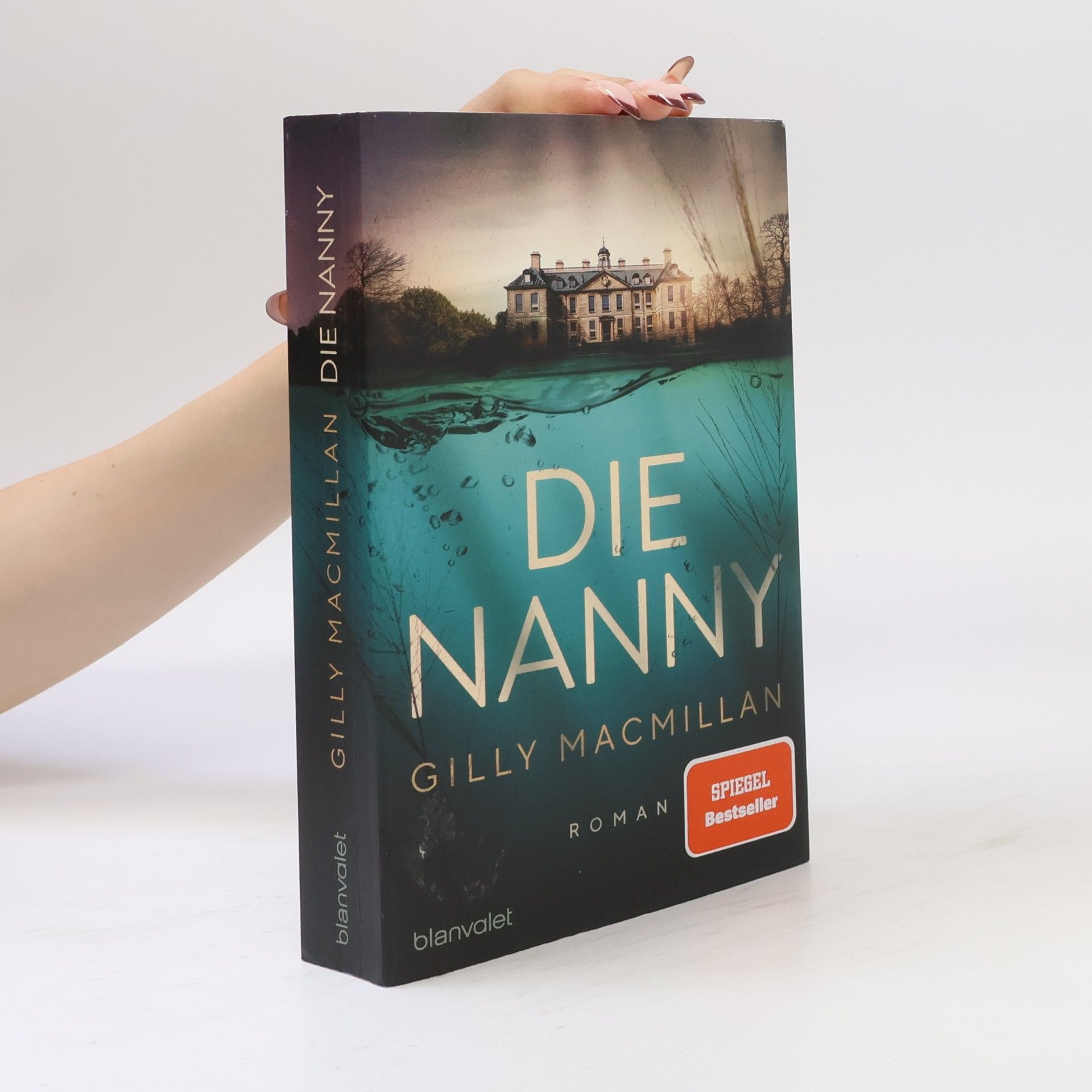 Gilly Macmillan Die Nanny