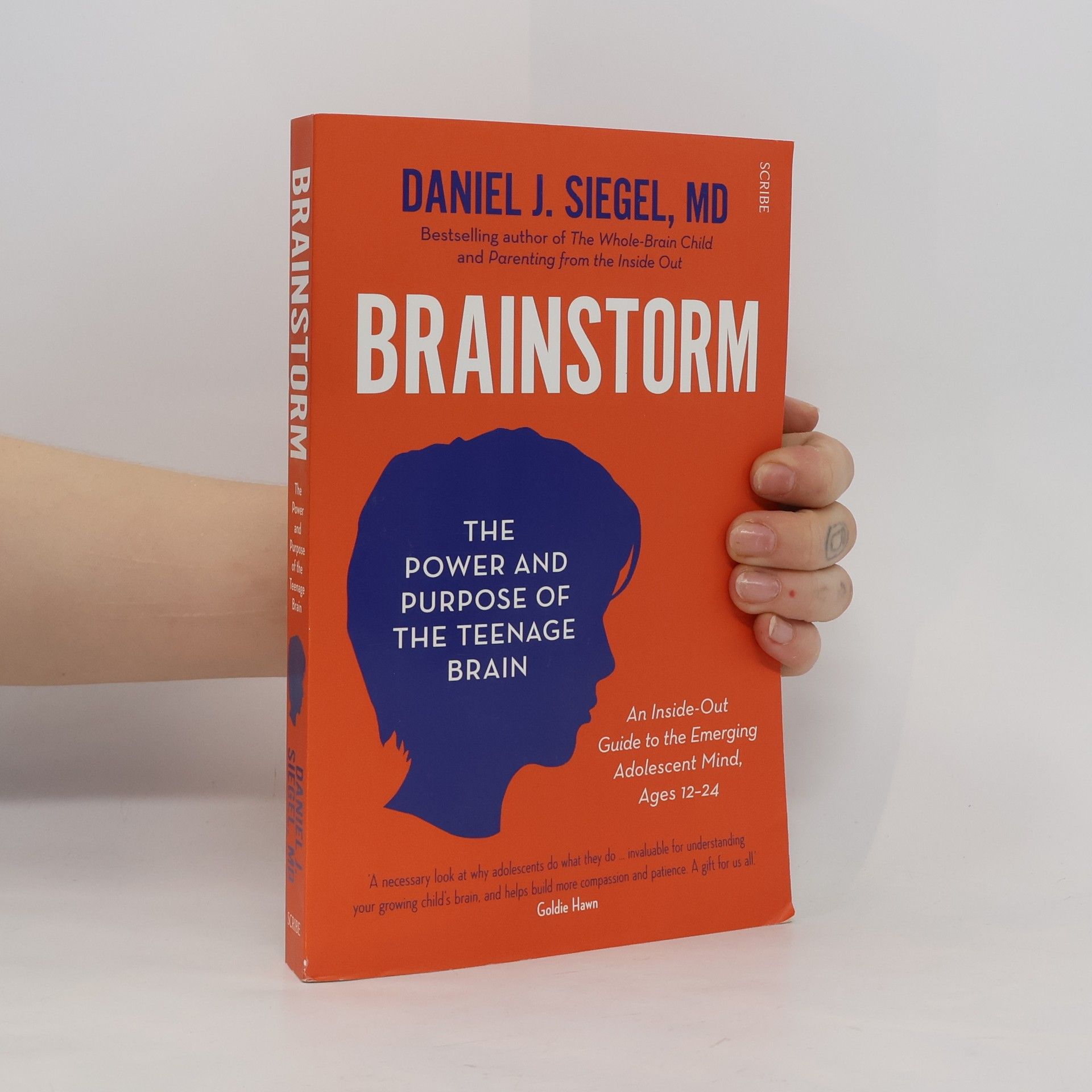Daniel Siegel Brainstorm