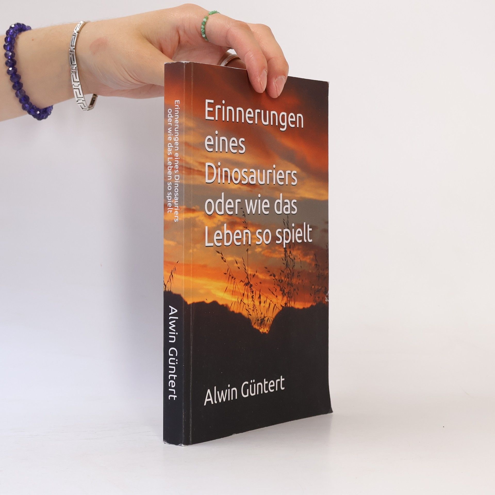 Alwin Güntert Erinnerungen eines Dinosauriers oder wie das Leben so spielt