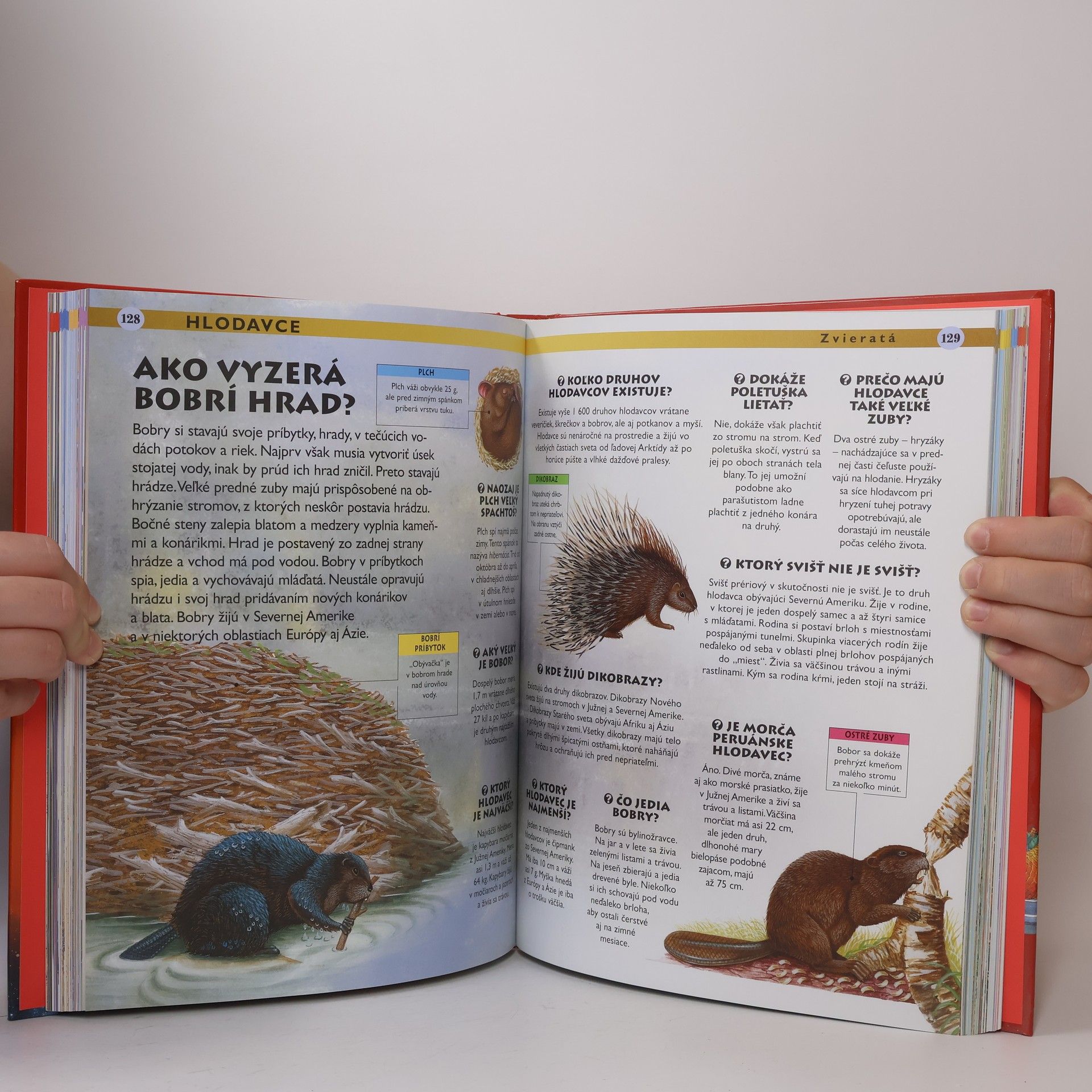 Various authors Najväčšia kniha otázok a odpovedí