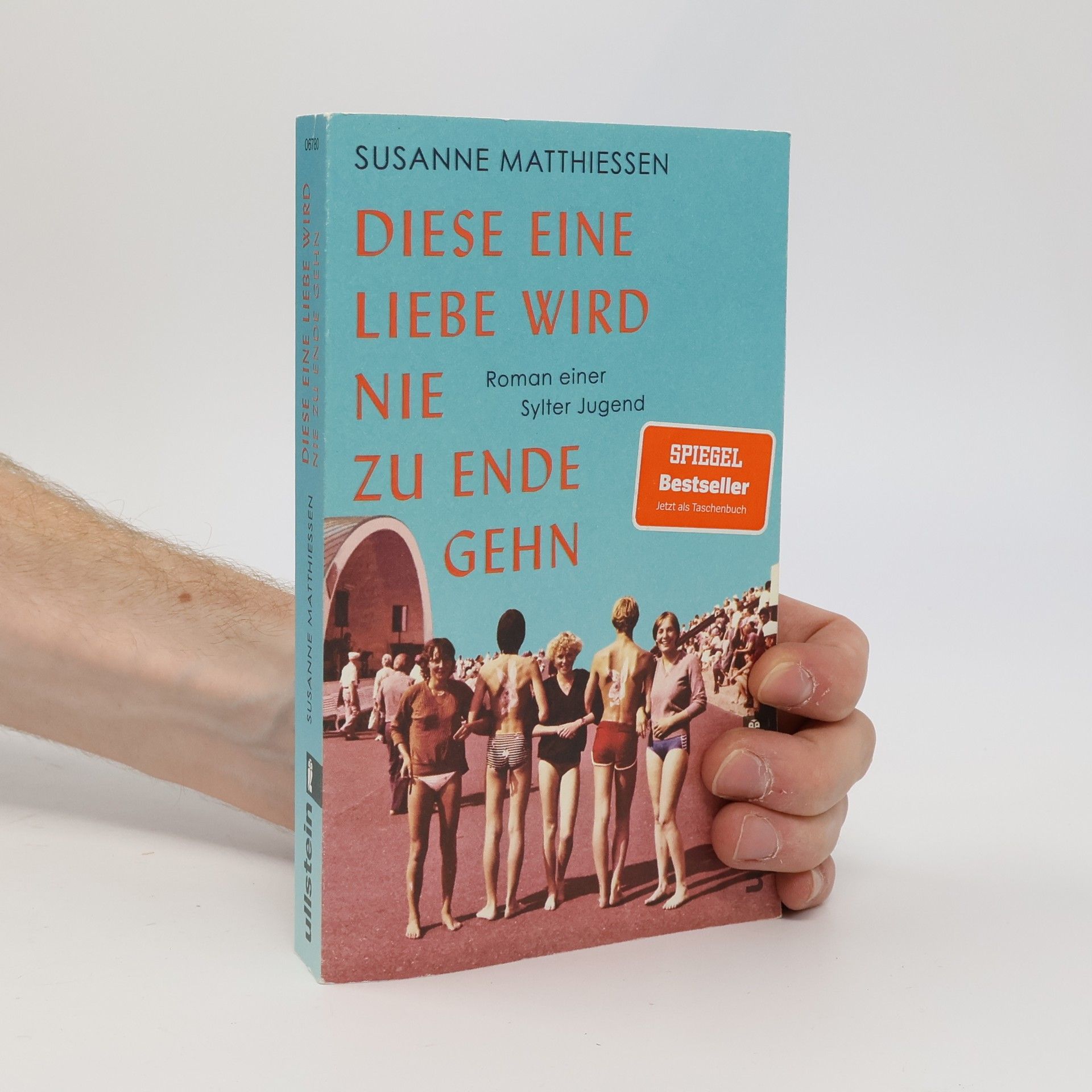 Susanne Matthiessen Diese eine Liebe wird nie zu Ende gehn